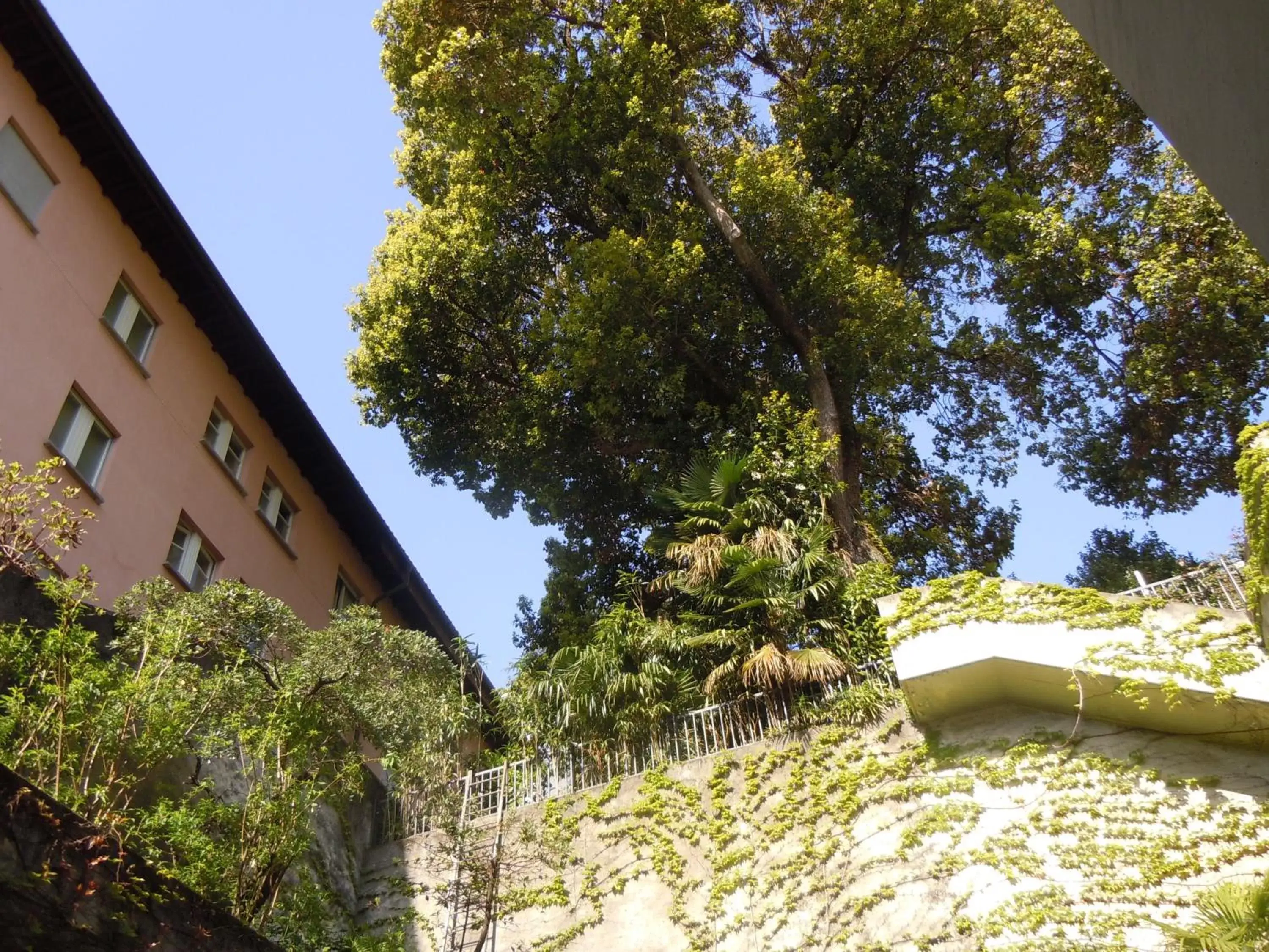 Facade/entrance in Hotel Nassa Garni