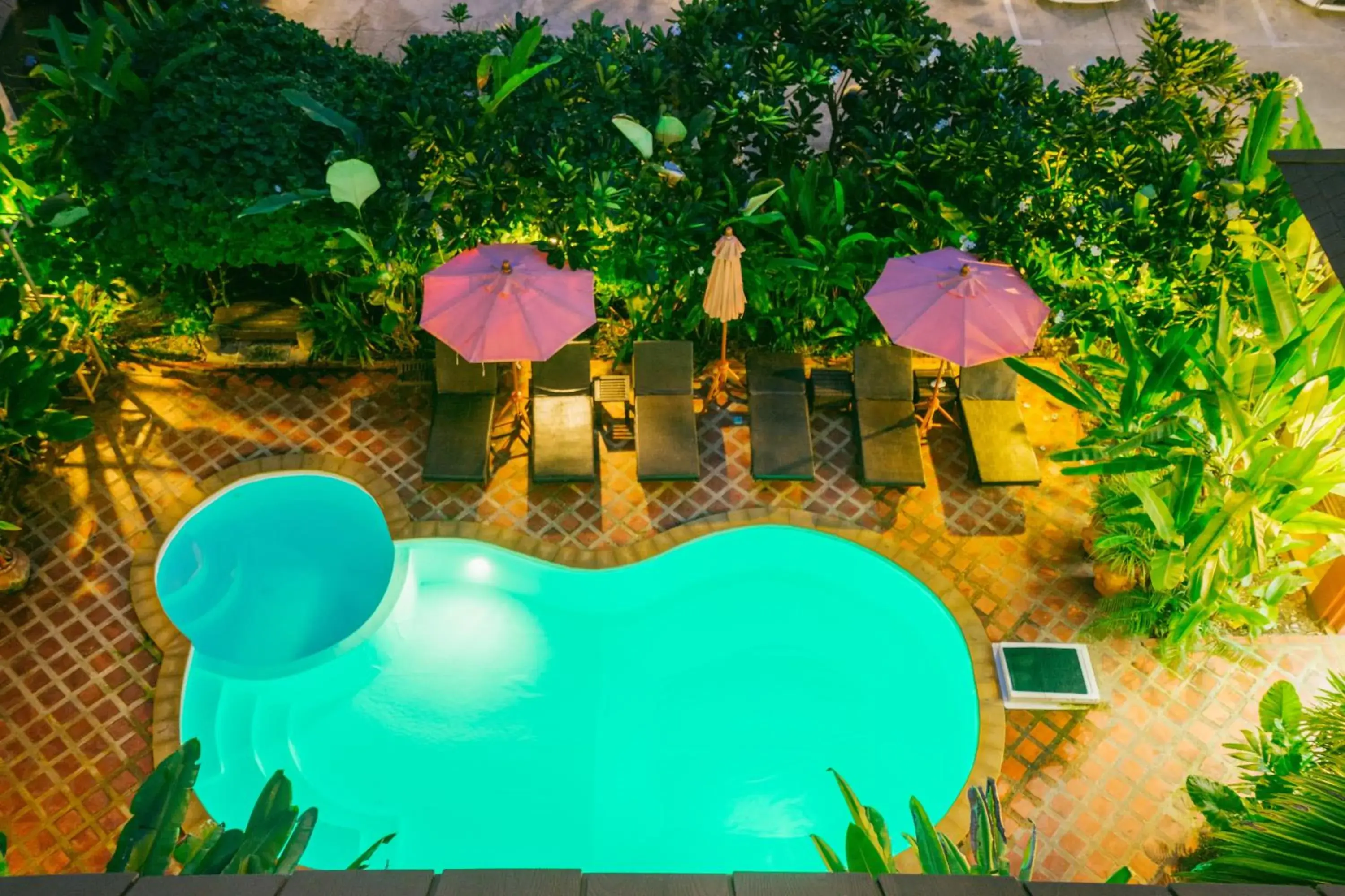 Swimming pool, Pool View in The Odyssey Chiang Mai