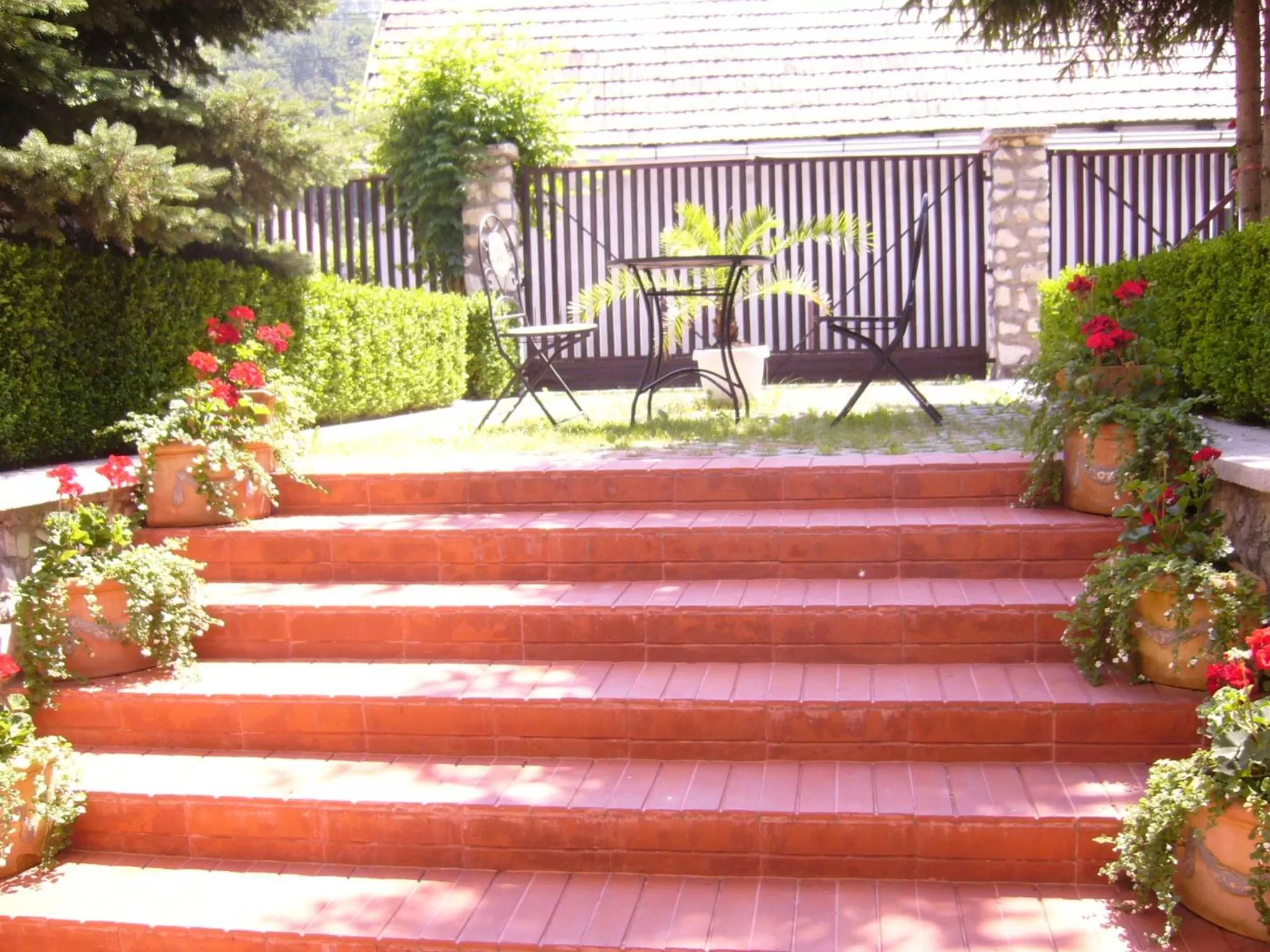 Other in Csaki Vendeghaz