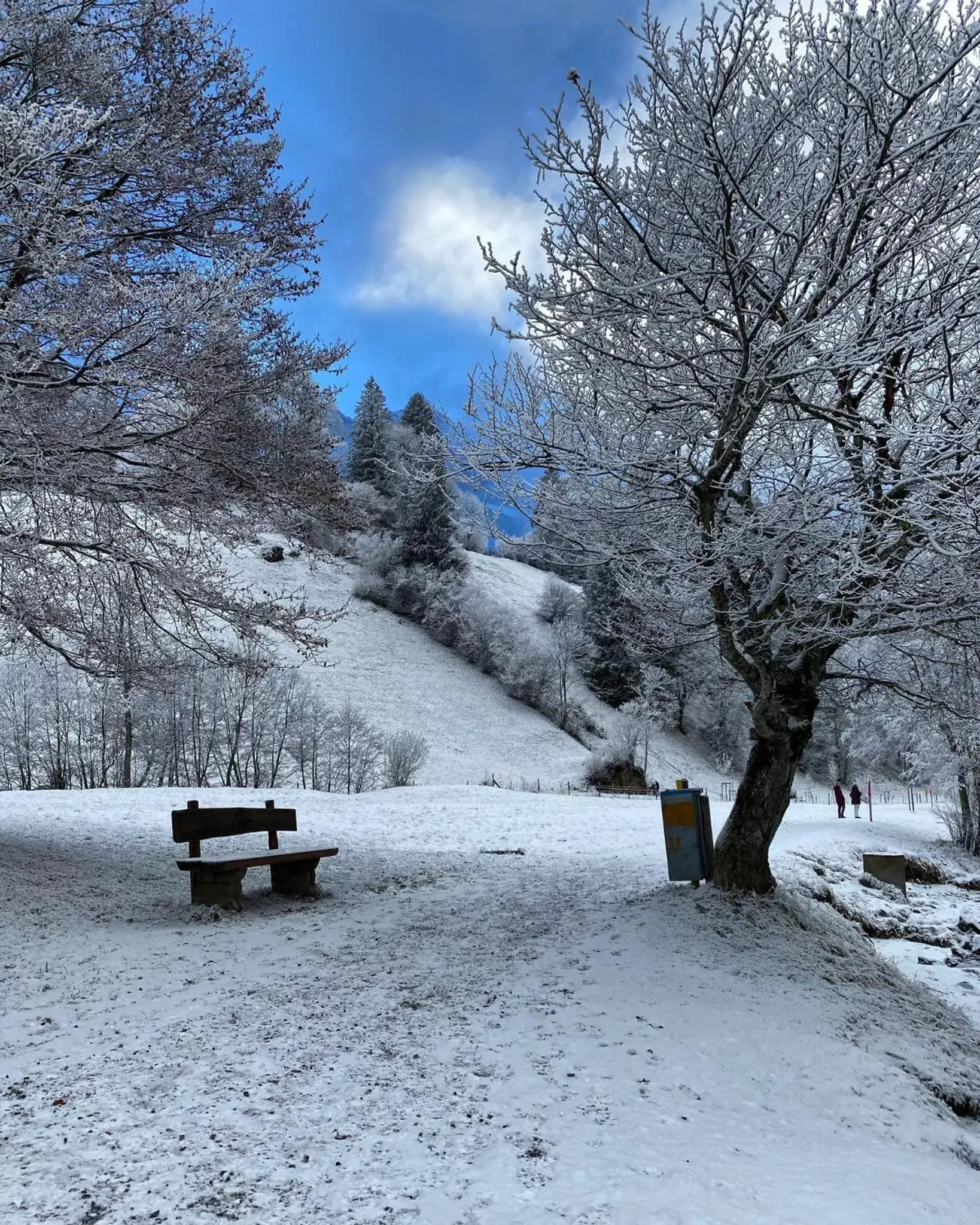 Natural landscape, Winter in Hotel Central