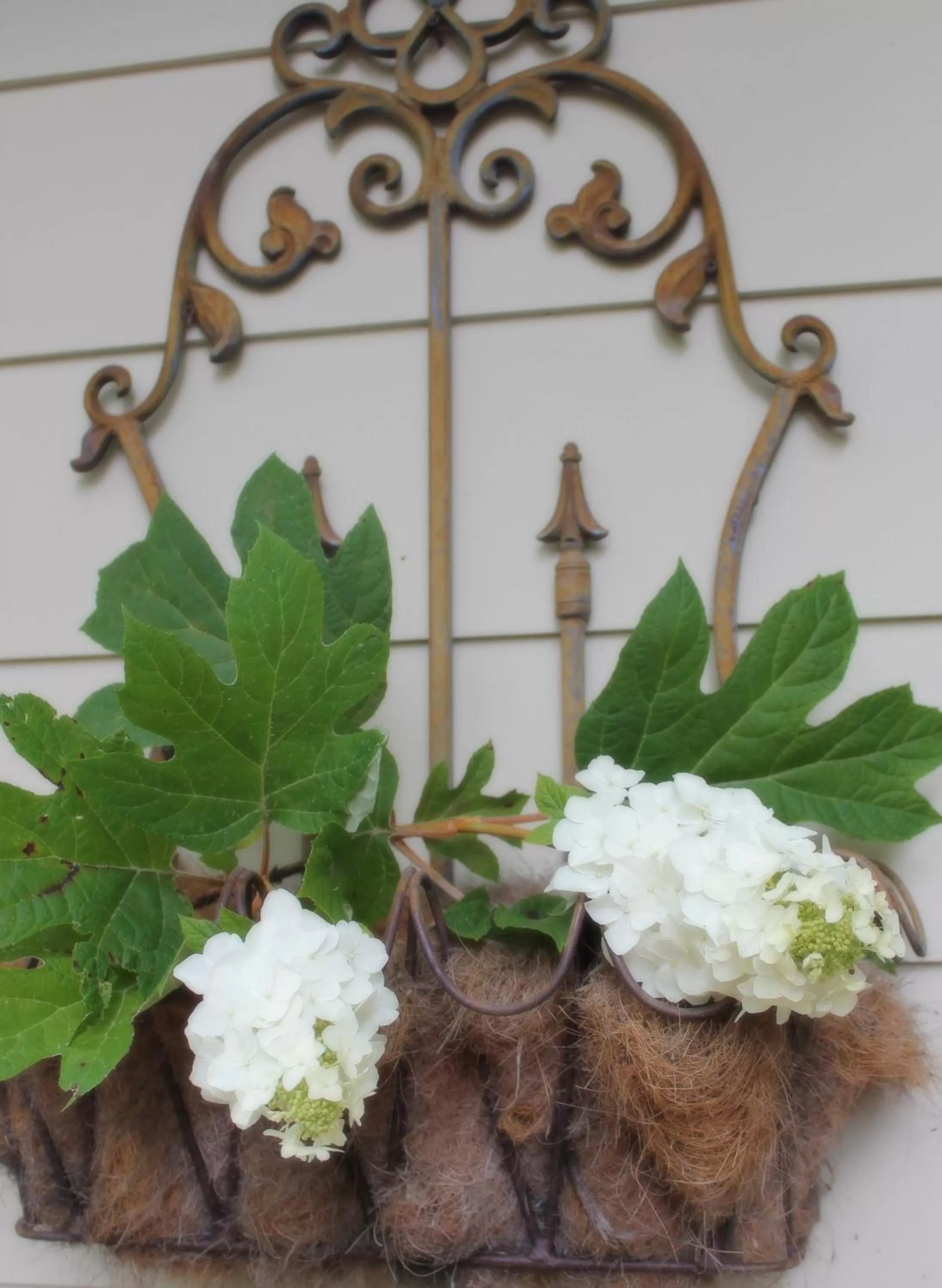 Hidden Springs Bed and Breakfast