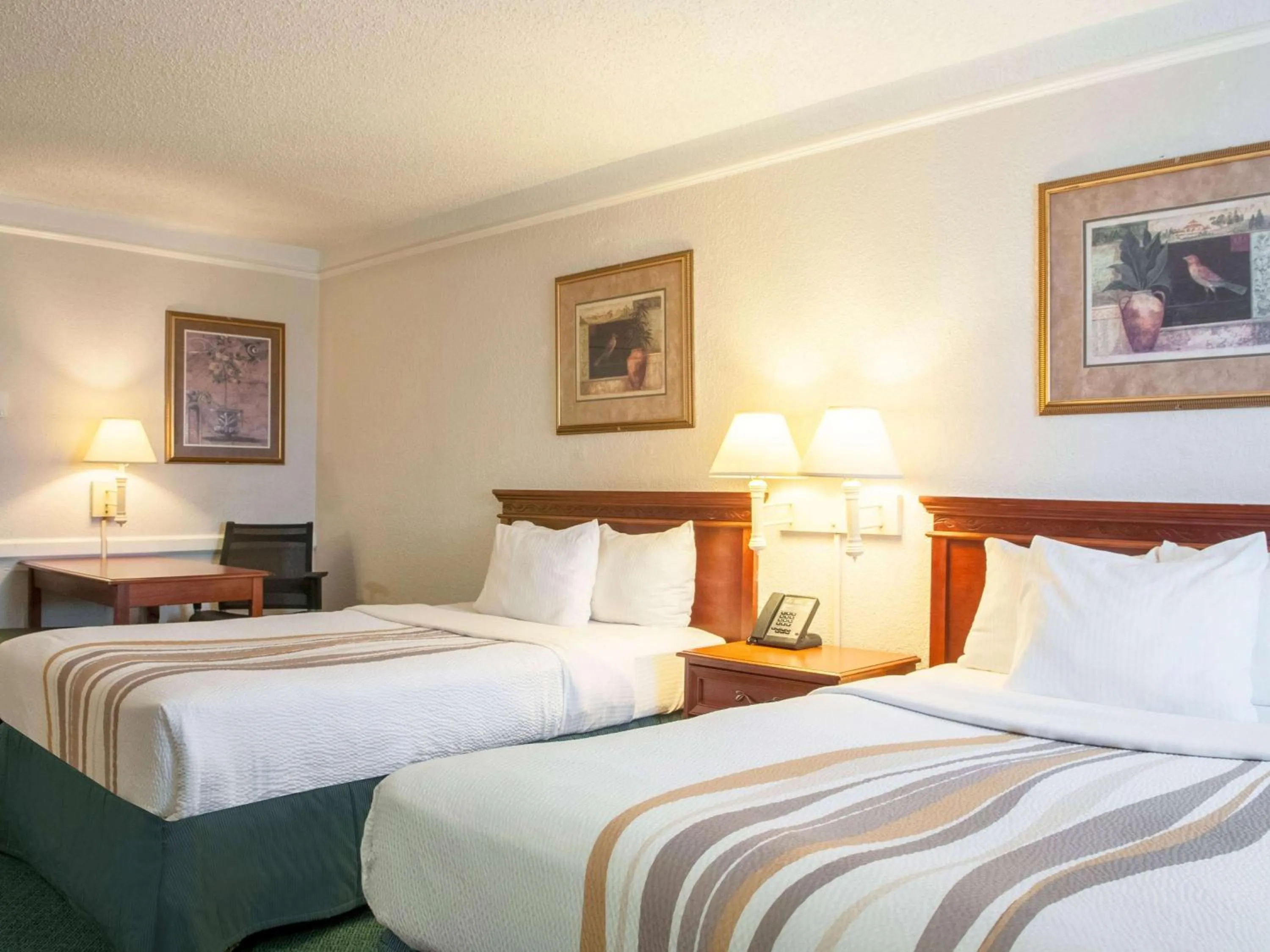 Photo of the whole room in La Quinta Inn by Wyndham New Orleans Veterans / Metairie