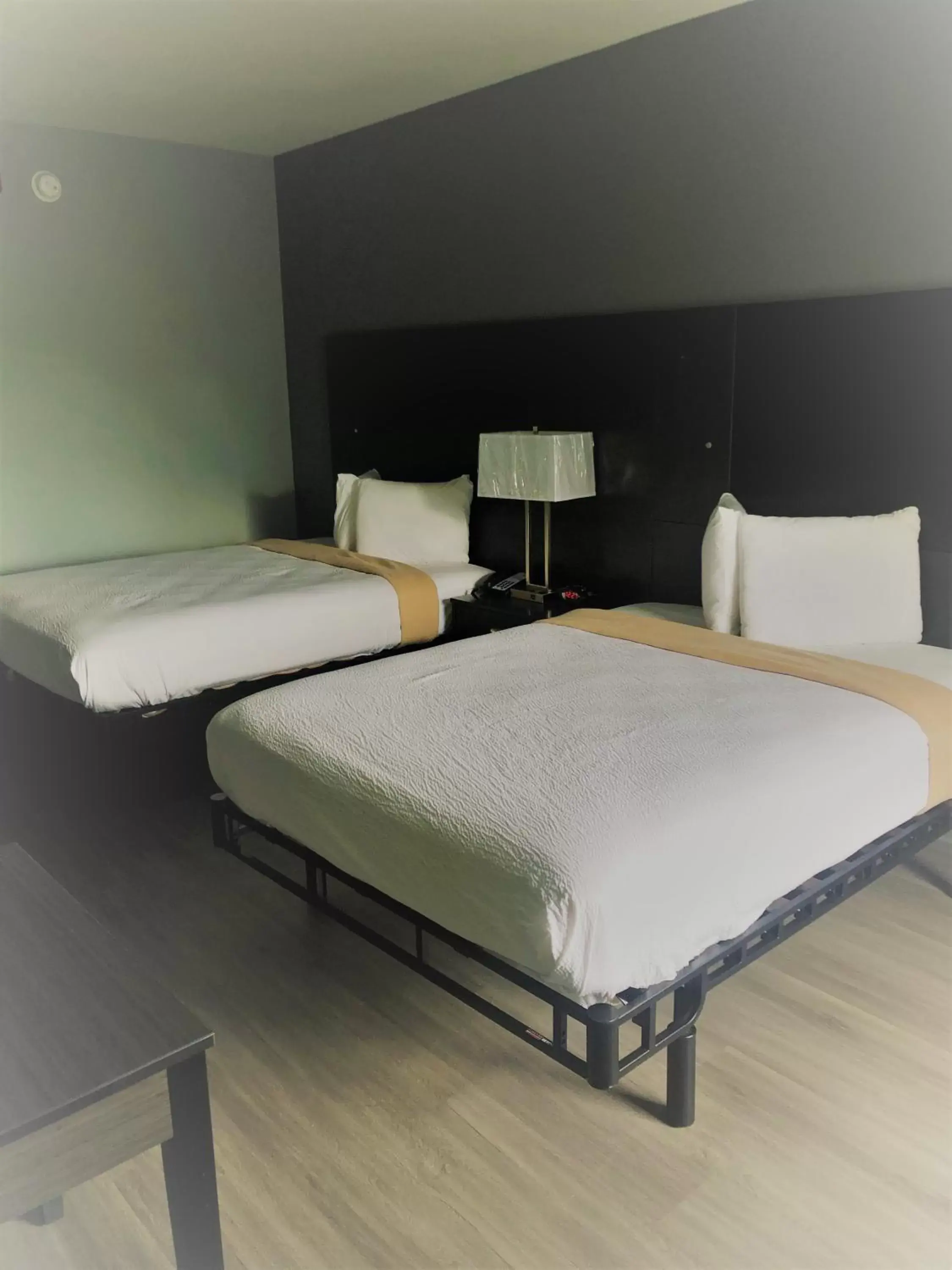 Bed in SureStay Hotel by Best Western Conway