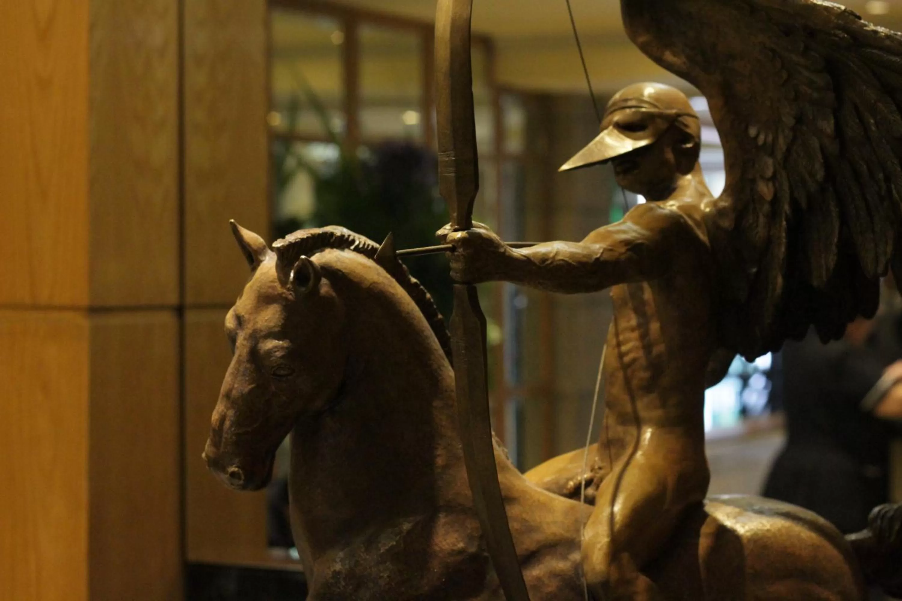 Other, Other Animals in Suites Del Ángel