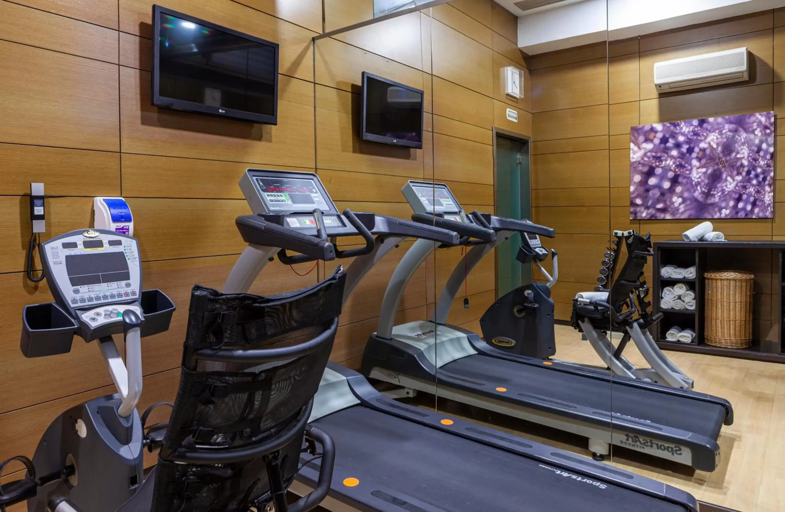 TV and multimedia, Fitness Center/Facilities in Hotel Porcel Torneo