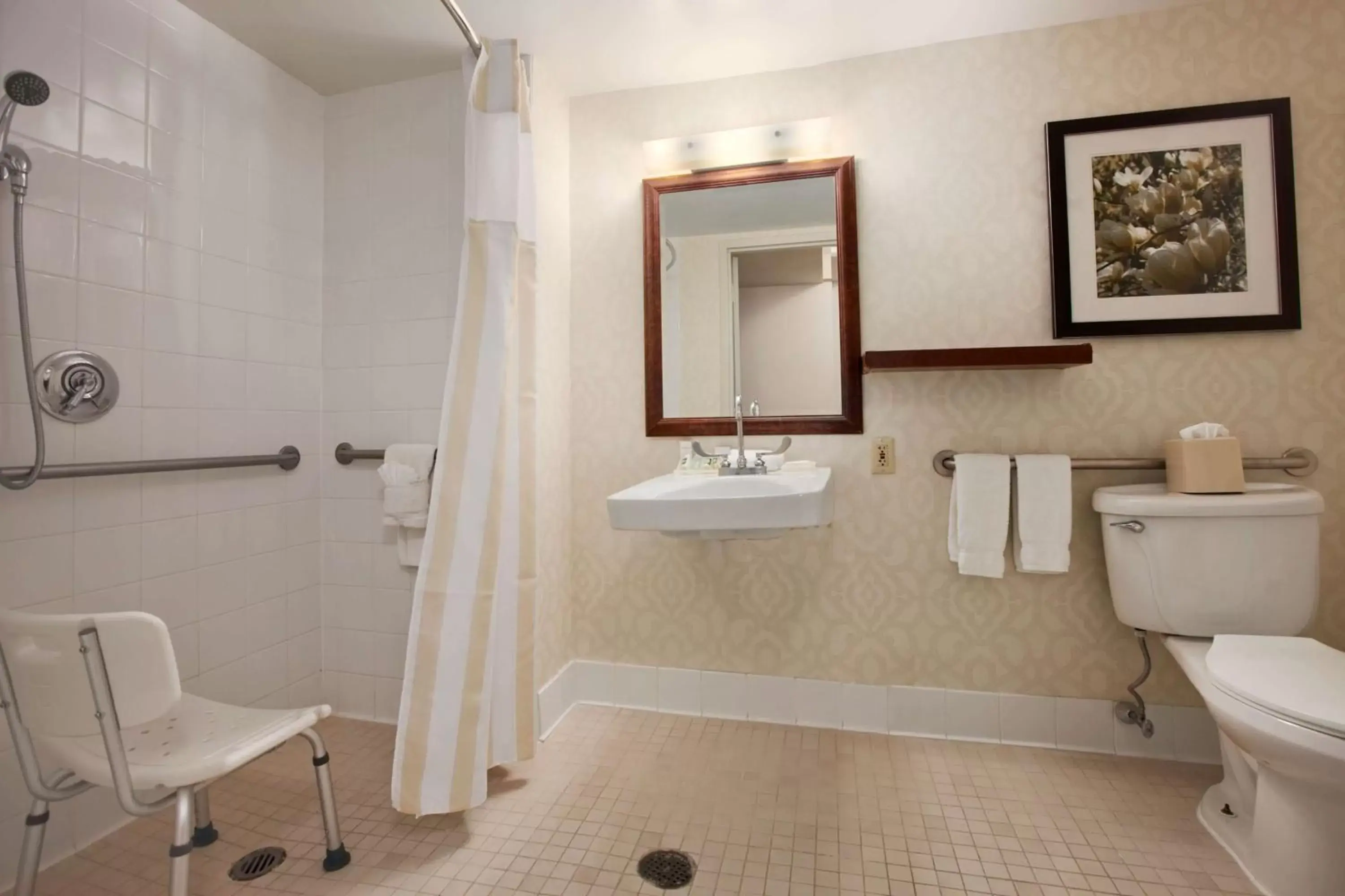 Bathroom in Hilton Garden Inn Boston-Burlington