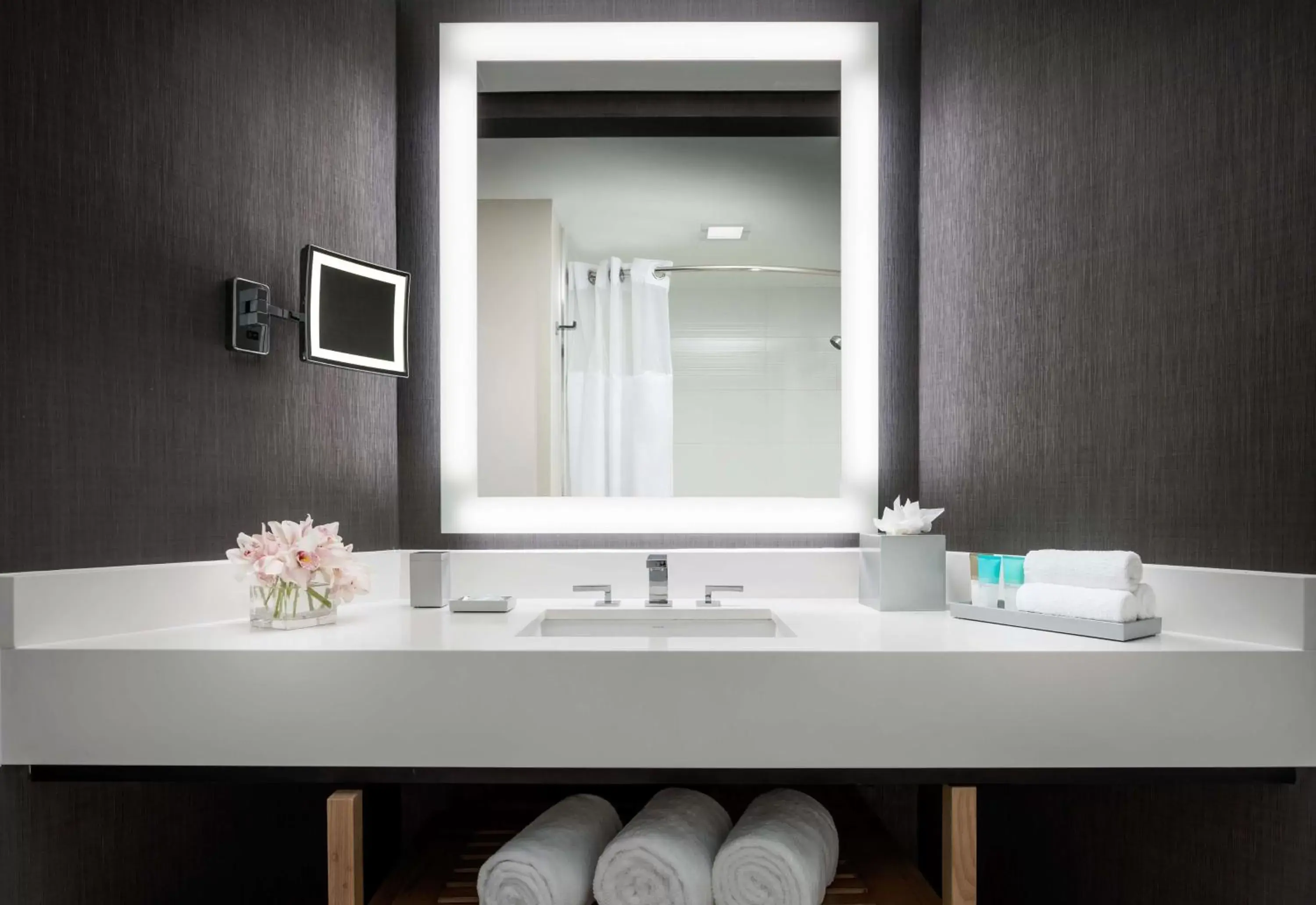 Bathroom in Hyatt Regency Bethesda near Washington D.C. Bathroom in Hyatt Regency Bethesda near Washington D.C.