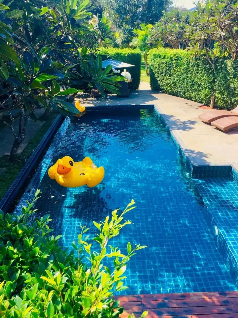 Pool view, Swimming Pool in Family House Zen Boutique Resort