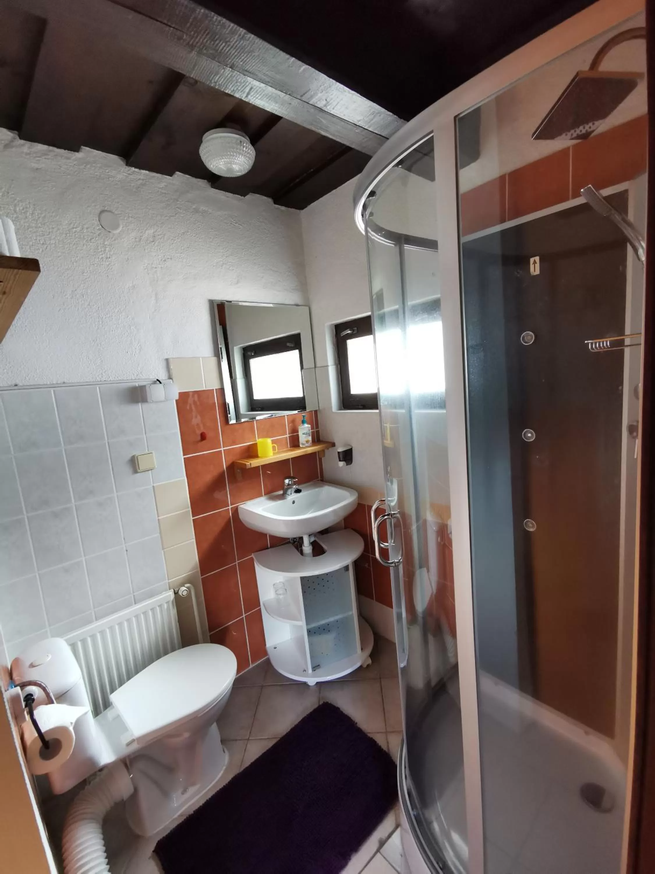 Other in Pension U Jelinka