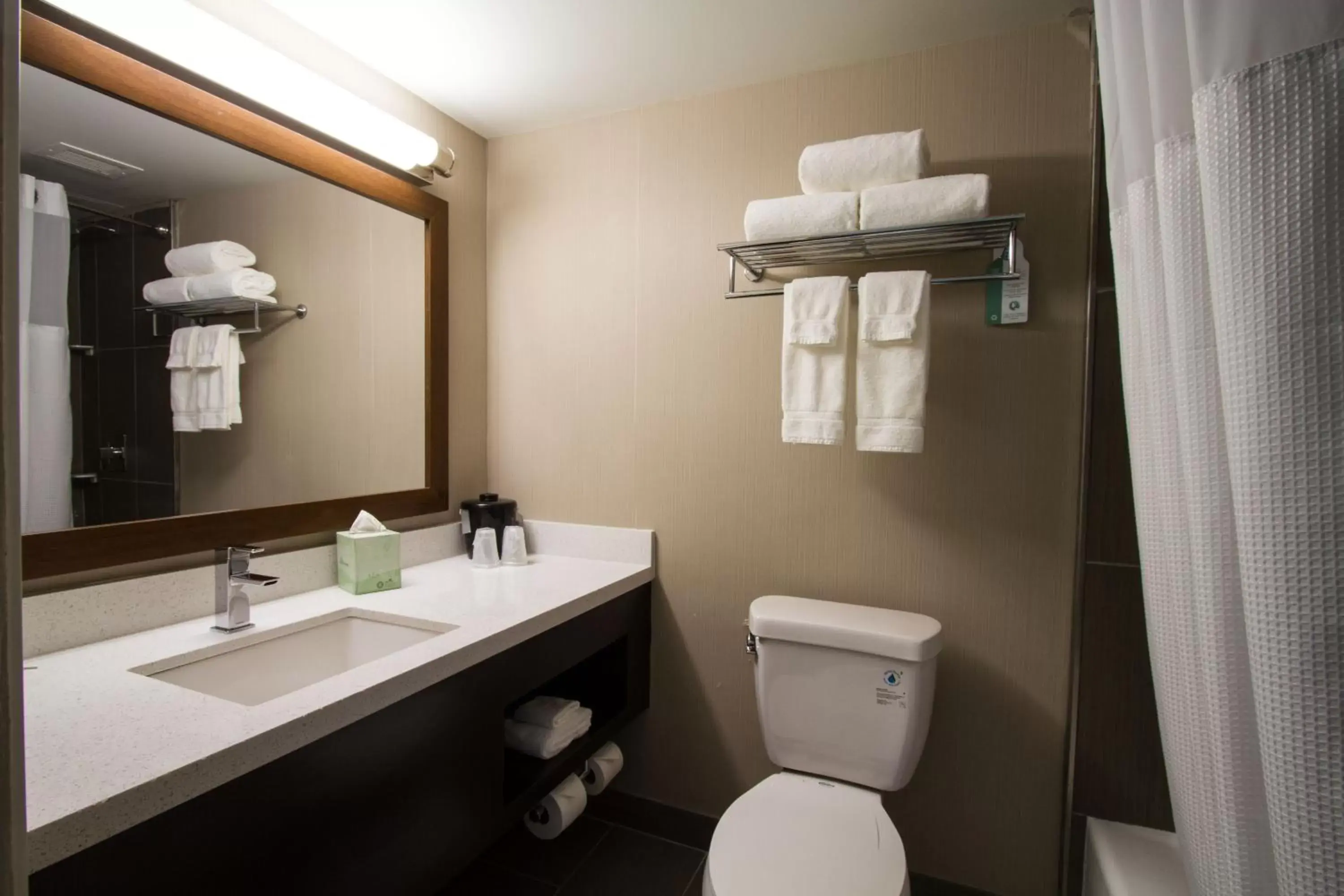 Bathroom in Holiday Inn Victorville, an IHG Hotel