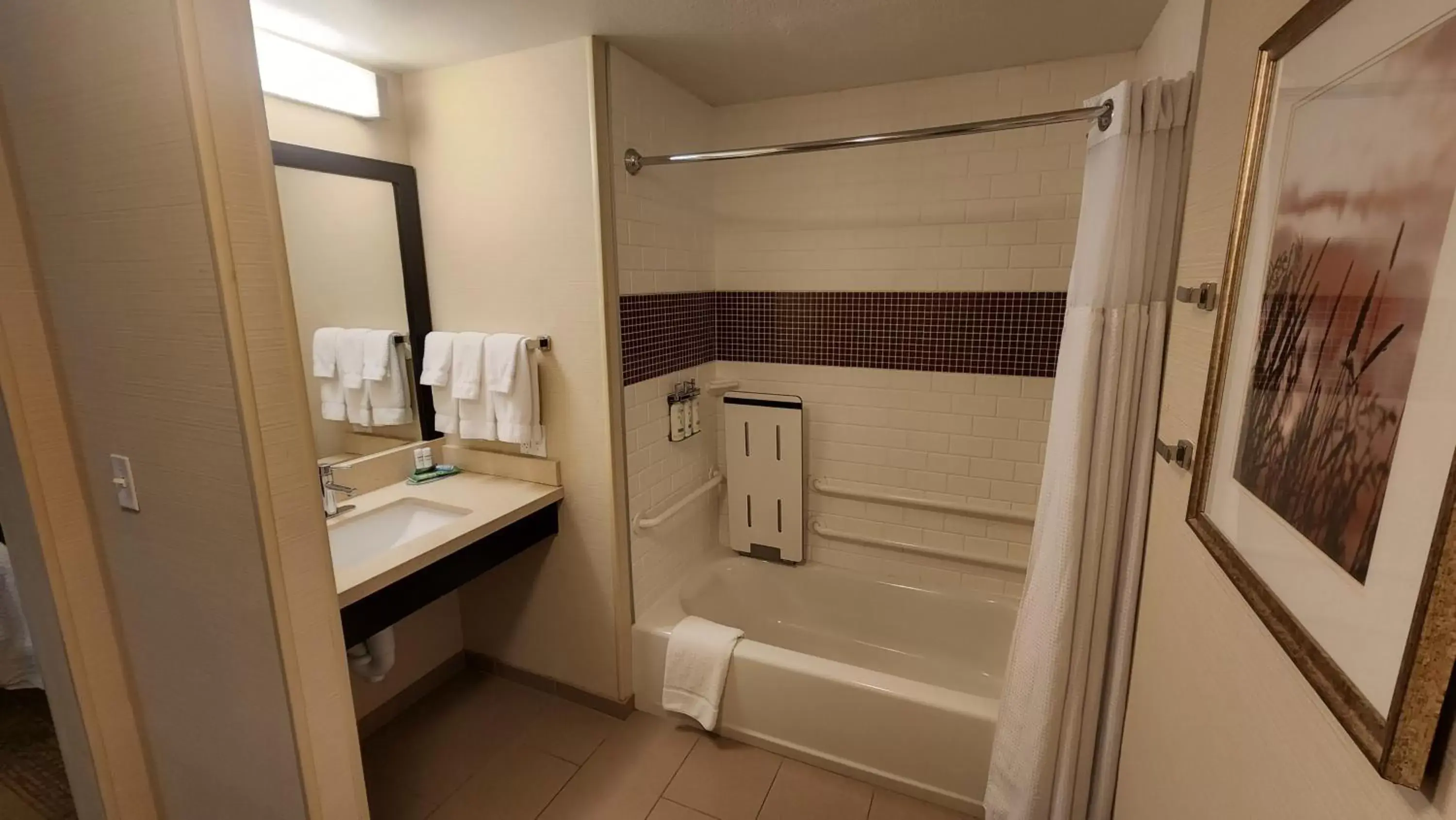 Photo of the whole room, Bathroom in Staybridge Suites Denver Downtown, an IHG Hotel