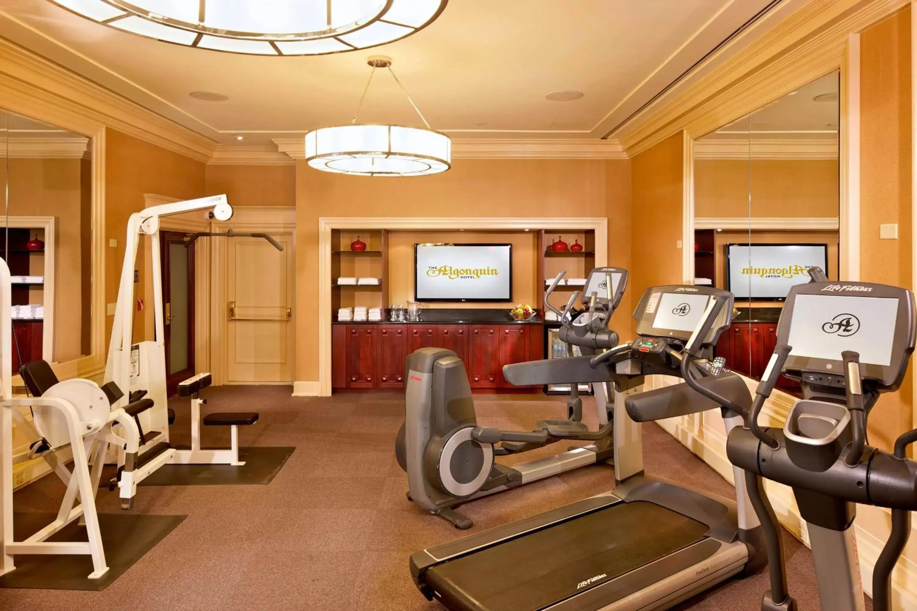Fitness centre/facilities, Fitness Center/Facilities in The Algonquin Hotel Times Square, Autograph Collection