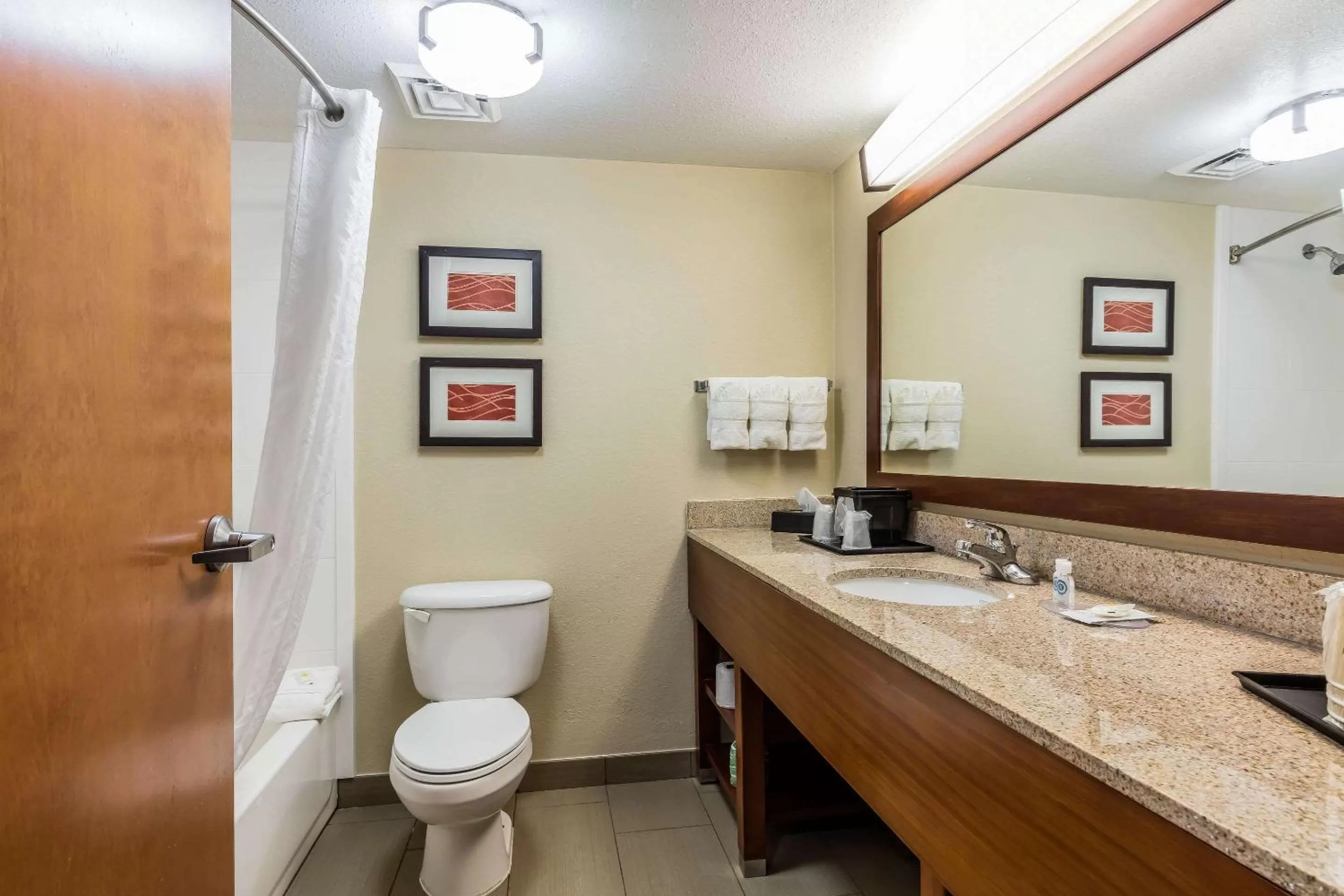 Bathroom in Comfort Inn & Suites Airport-American Way