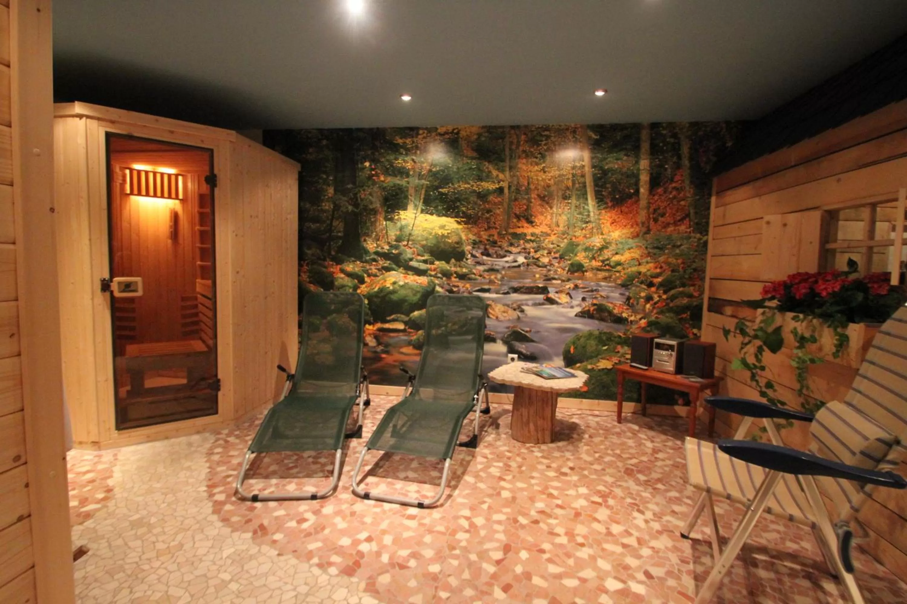 Spa and wellness centre/facilities in Haus Sonneck