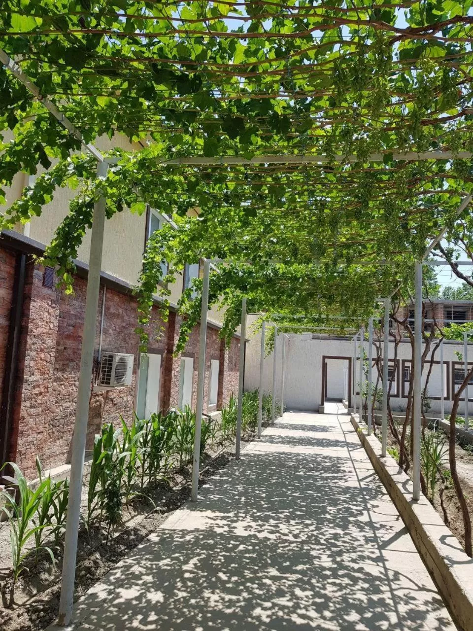 Garden in VOYAGE HOTEL