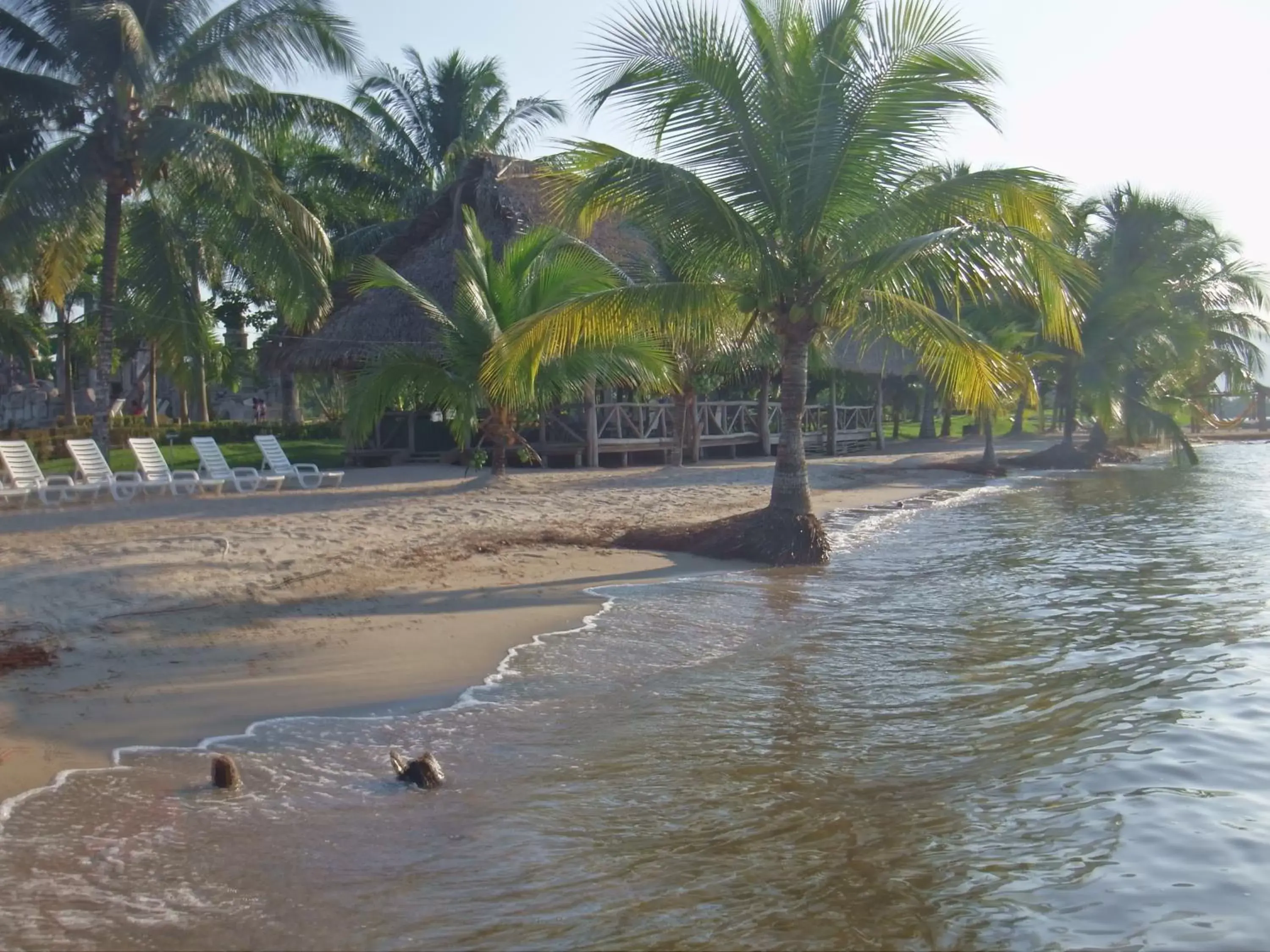 Day, Beach in Amatique Bay Hotel