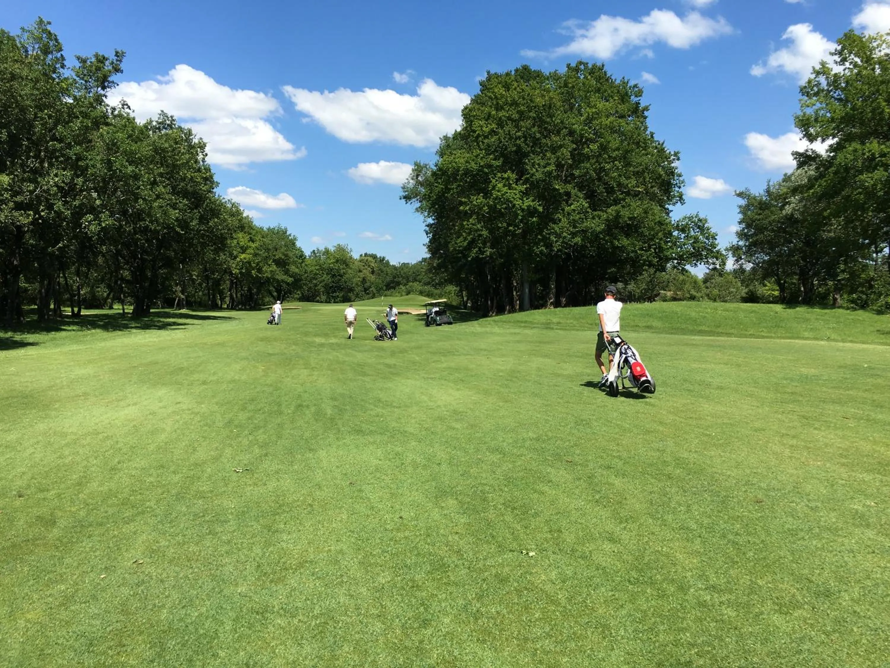 Golfcourse in Best Western Bridge Hotel Lyon East