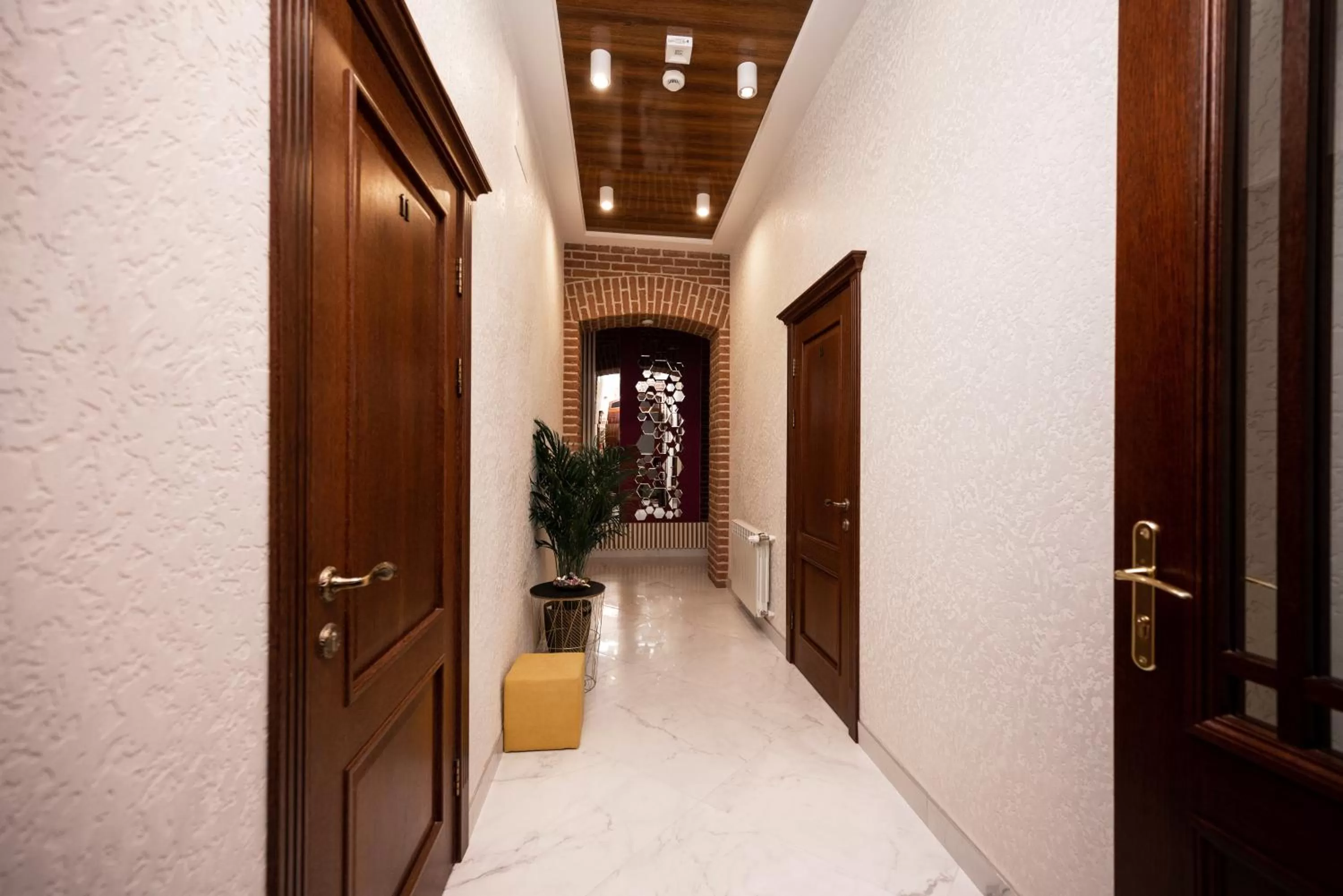 Windsurfing in Hive Family House