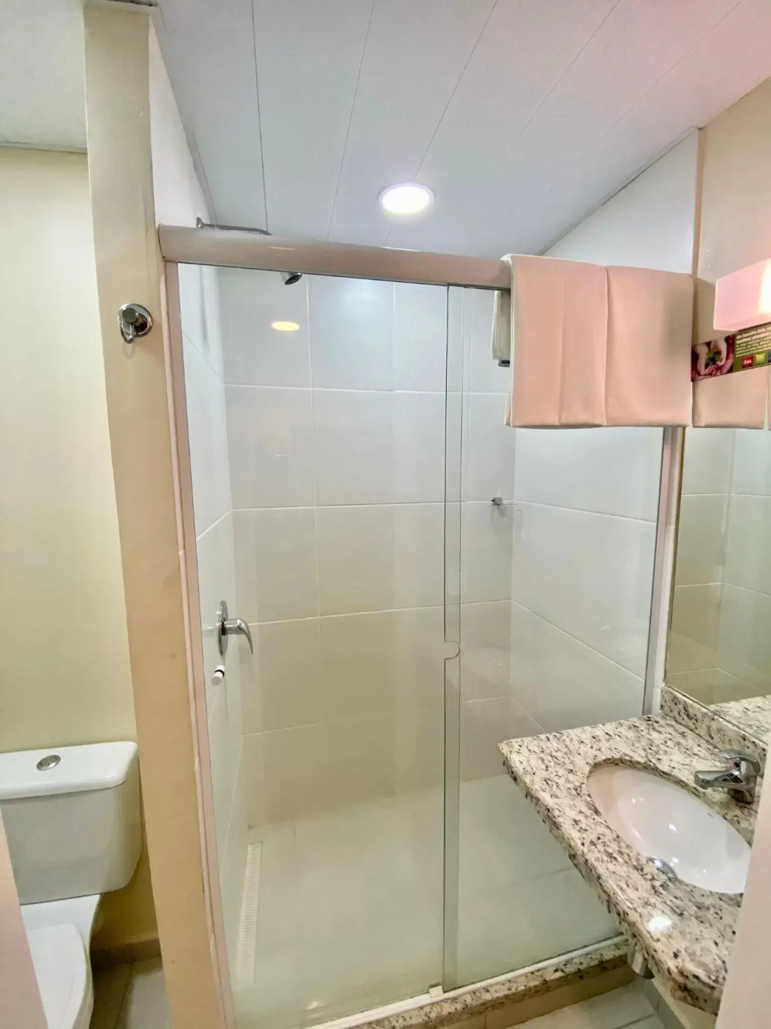 Bathroom in ibis budget Patos de Minas