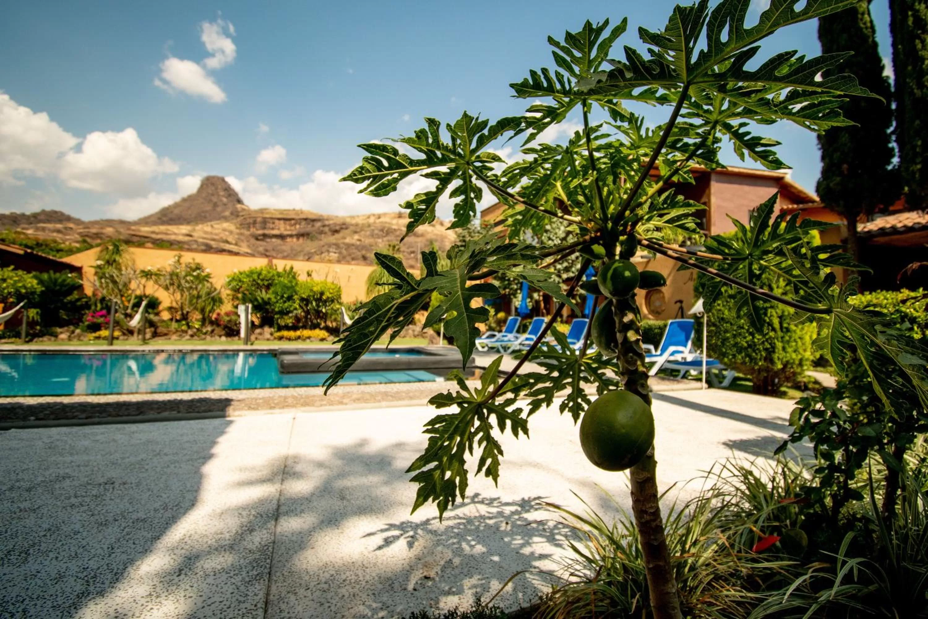 Mountain view in Quinta Ascensión Hotel Boutique Only Adults