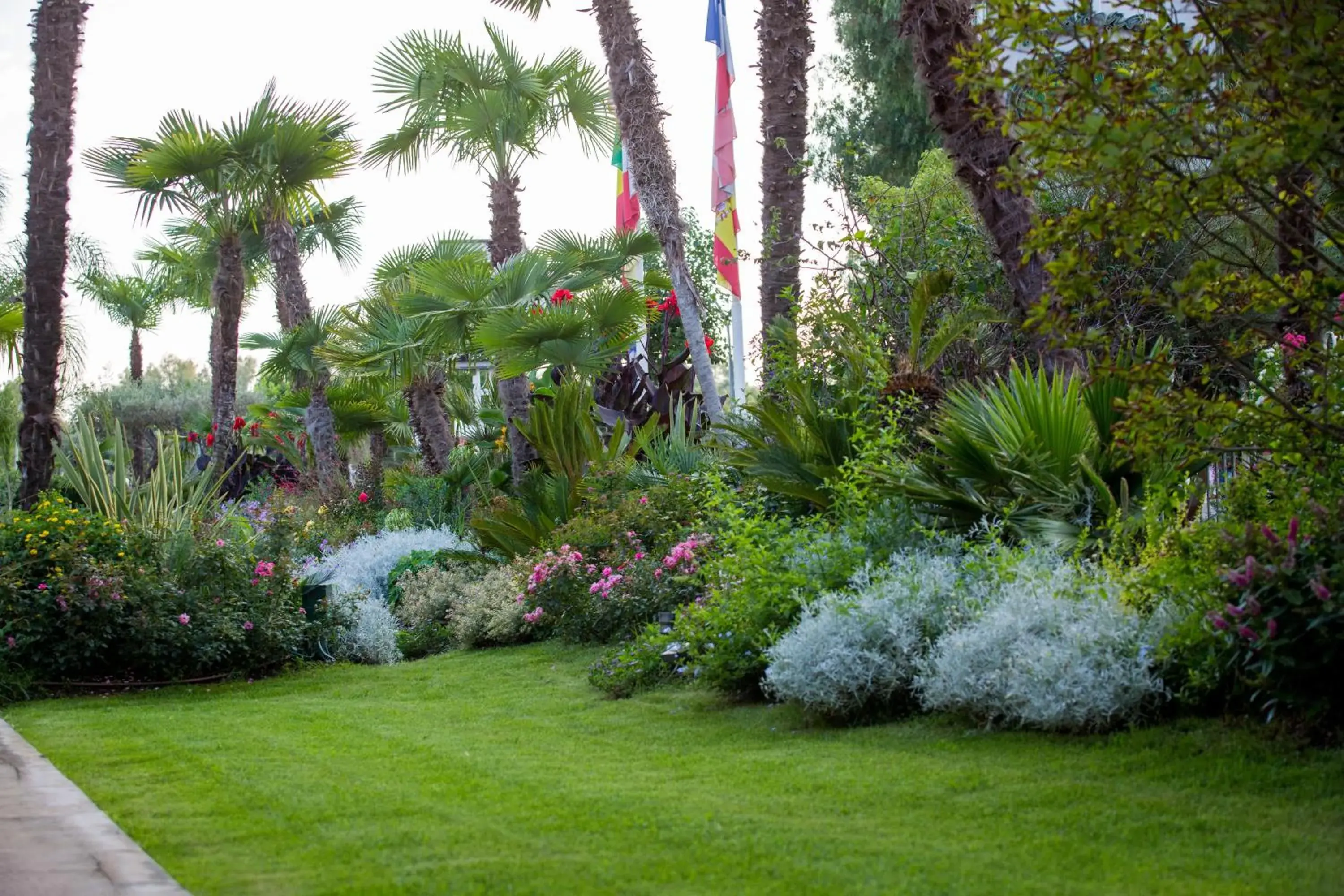 Garden in Hotel Ares