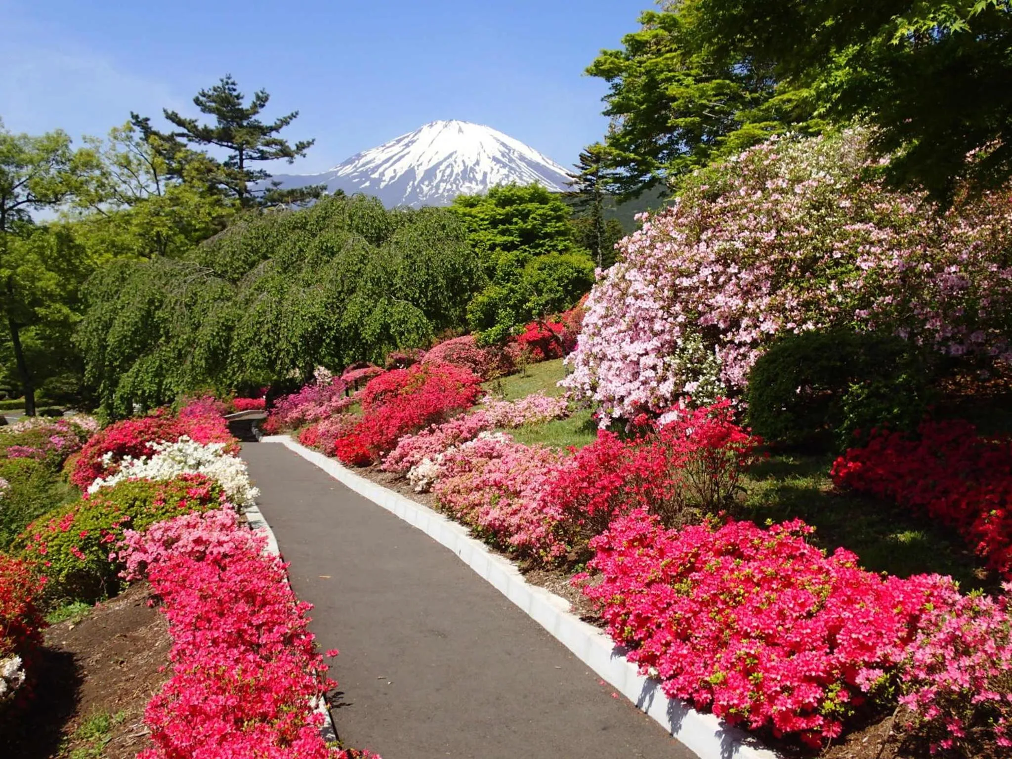 Nearby landmark in Fuji Speedway Hotel, in The Unbound Collection by Hyatt