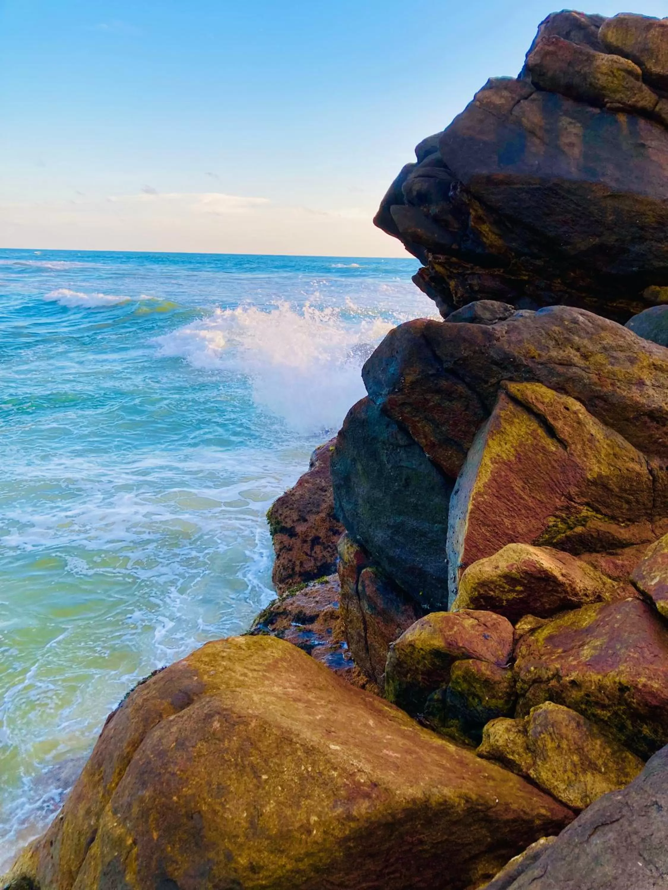Natural Landscape in Manel Villa
