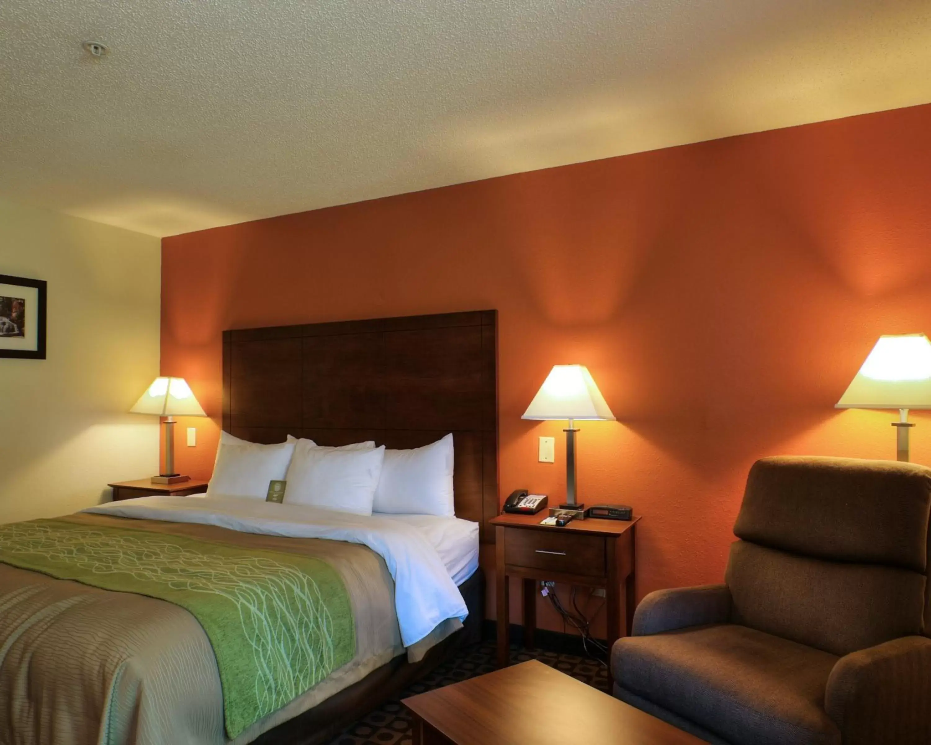 King Room - Accessible/Non-Smoking in Comfort Inn Fayetteville I-95