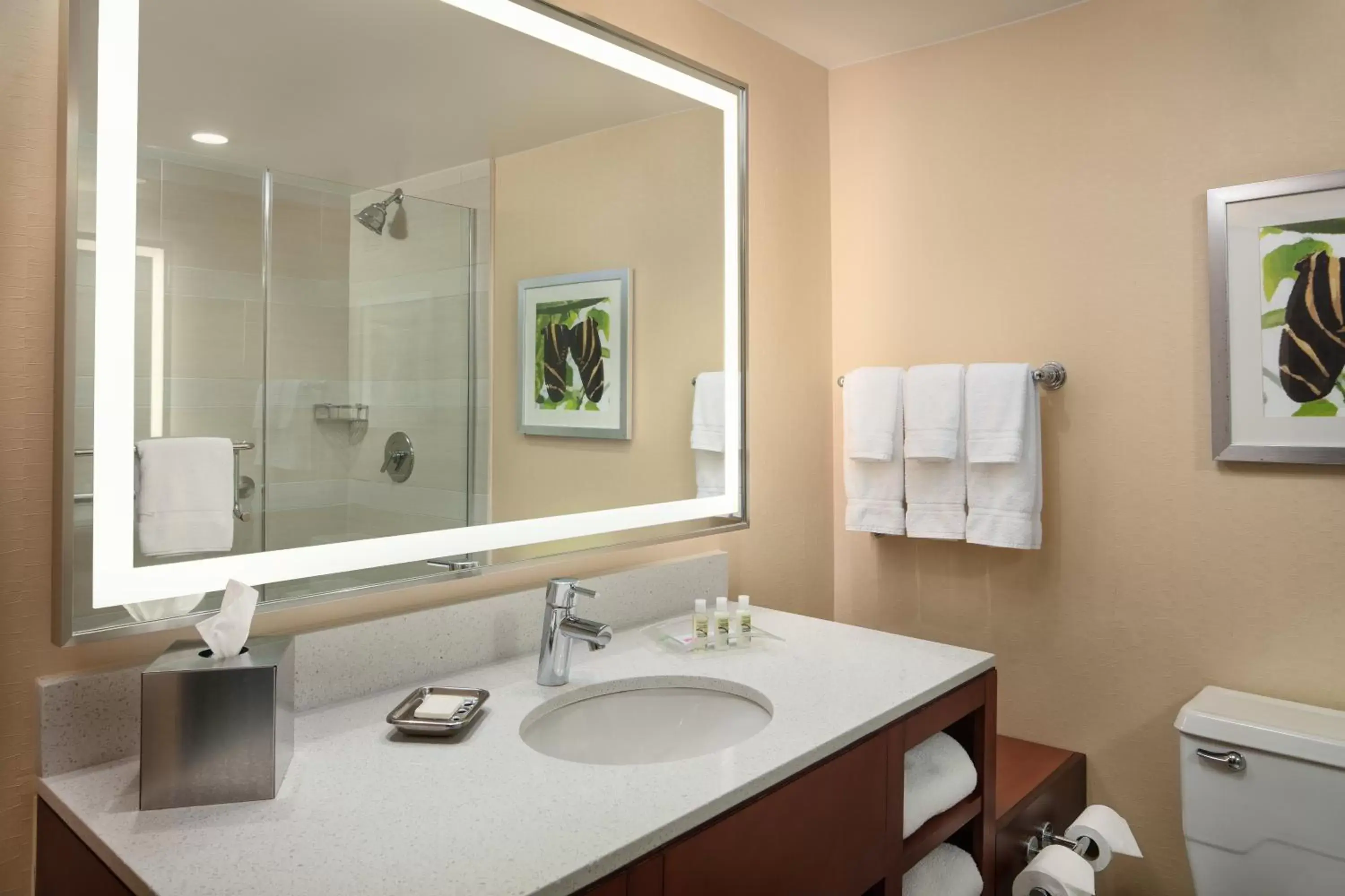 Bathroom in Holiday Inn Austin -Town Lake, an IHG Hotel