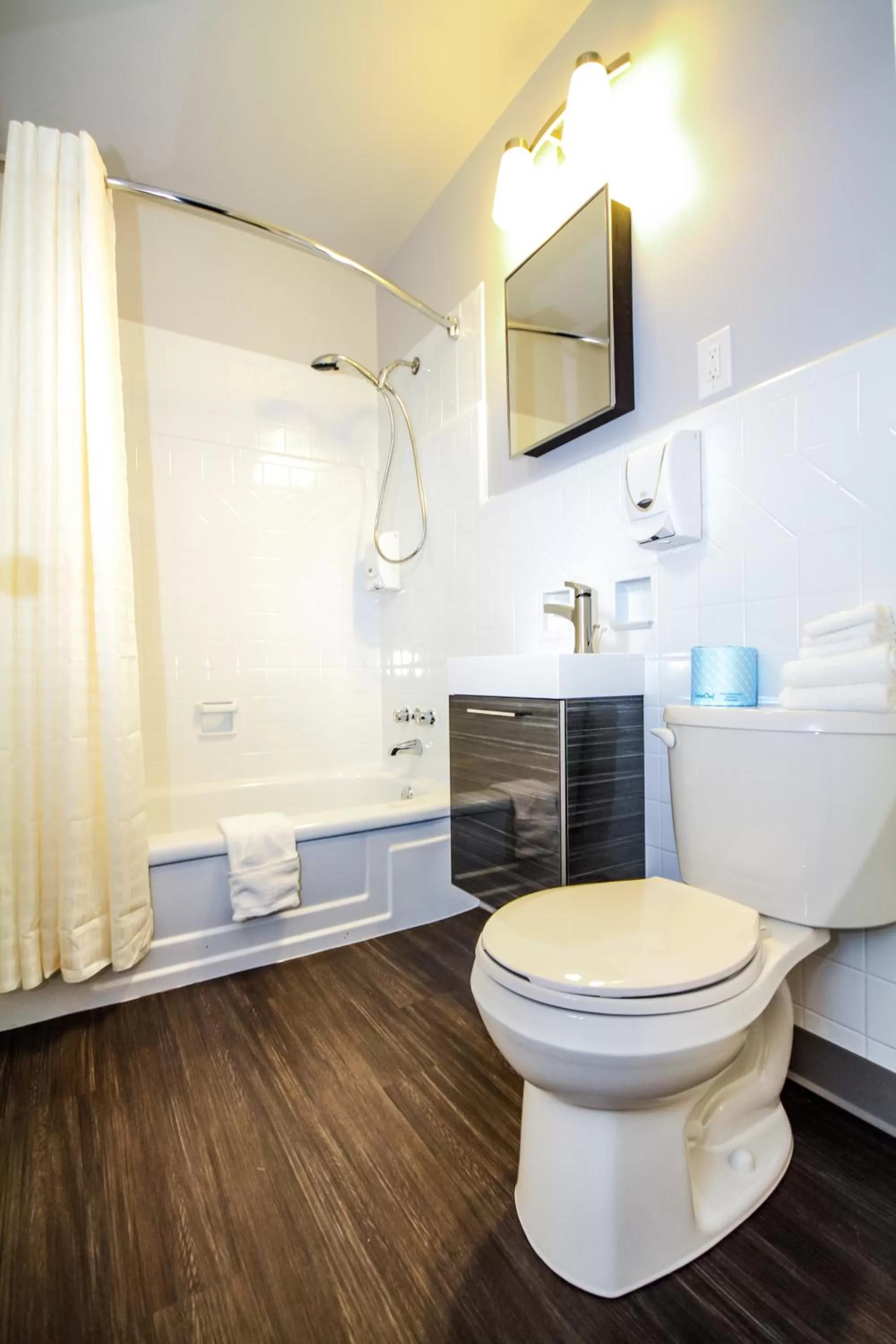 Toilet in Cadillac Motel Niagara