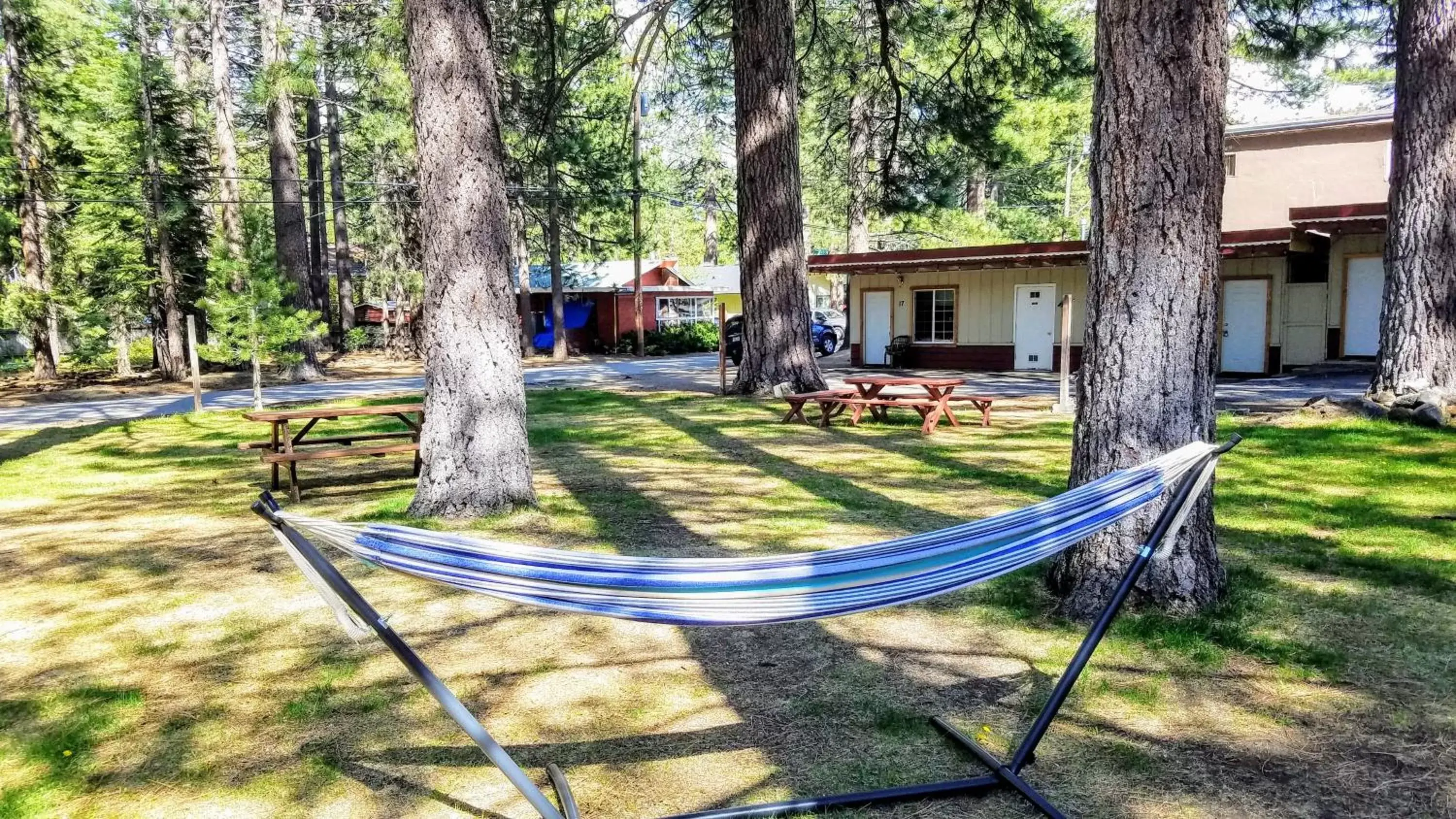 Property building, Garden in The Washoe Lodge