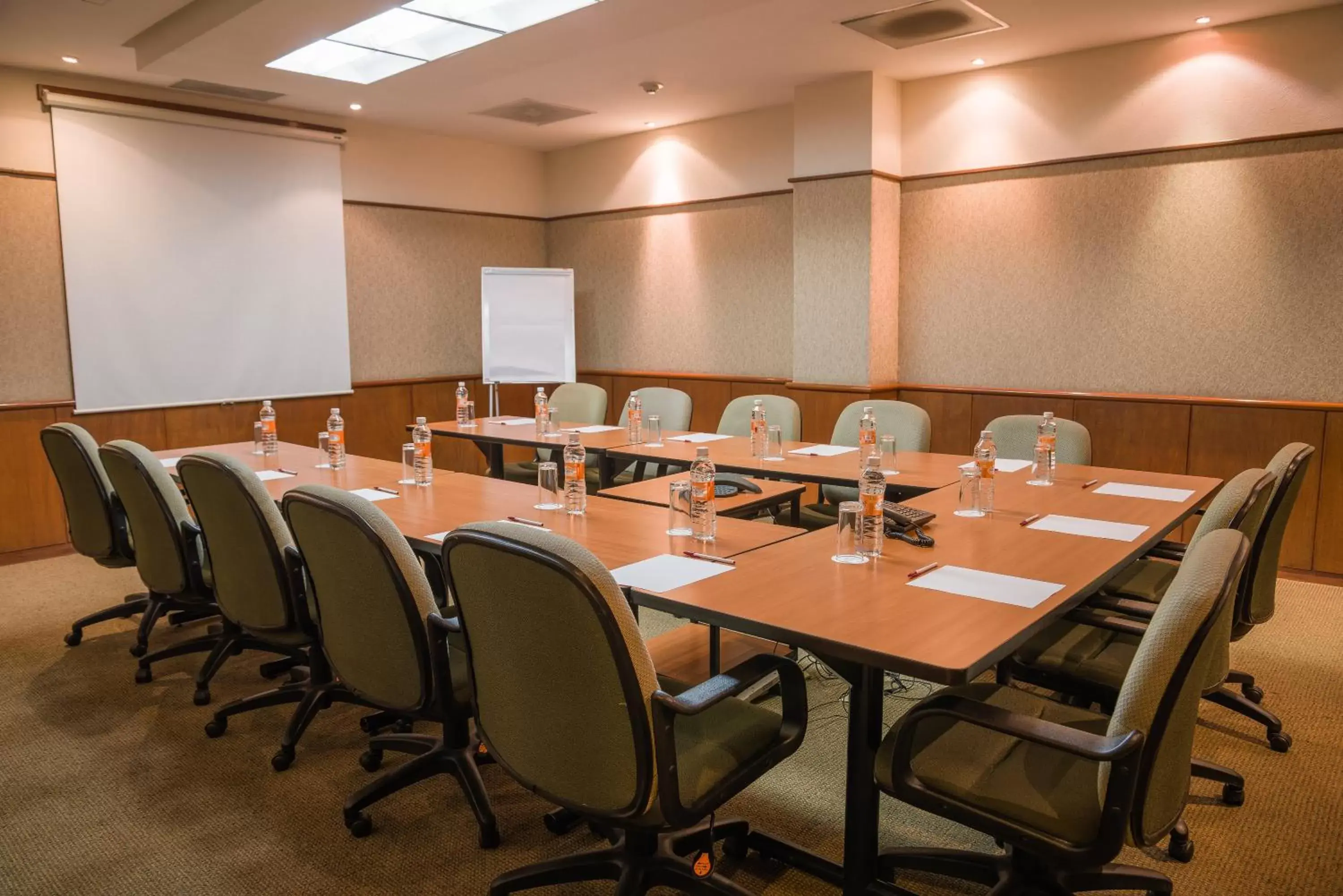 Meeting/conference room in Holiday Inn Guadalajara Expo Plaza del Sol, an IHG Hotel