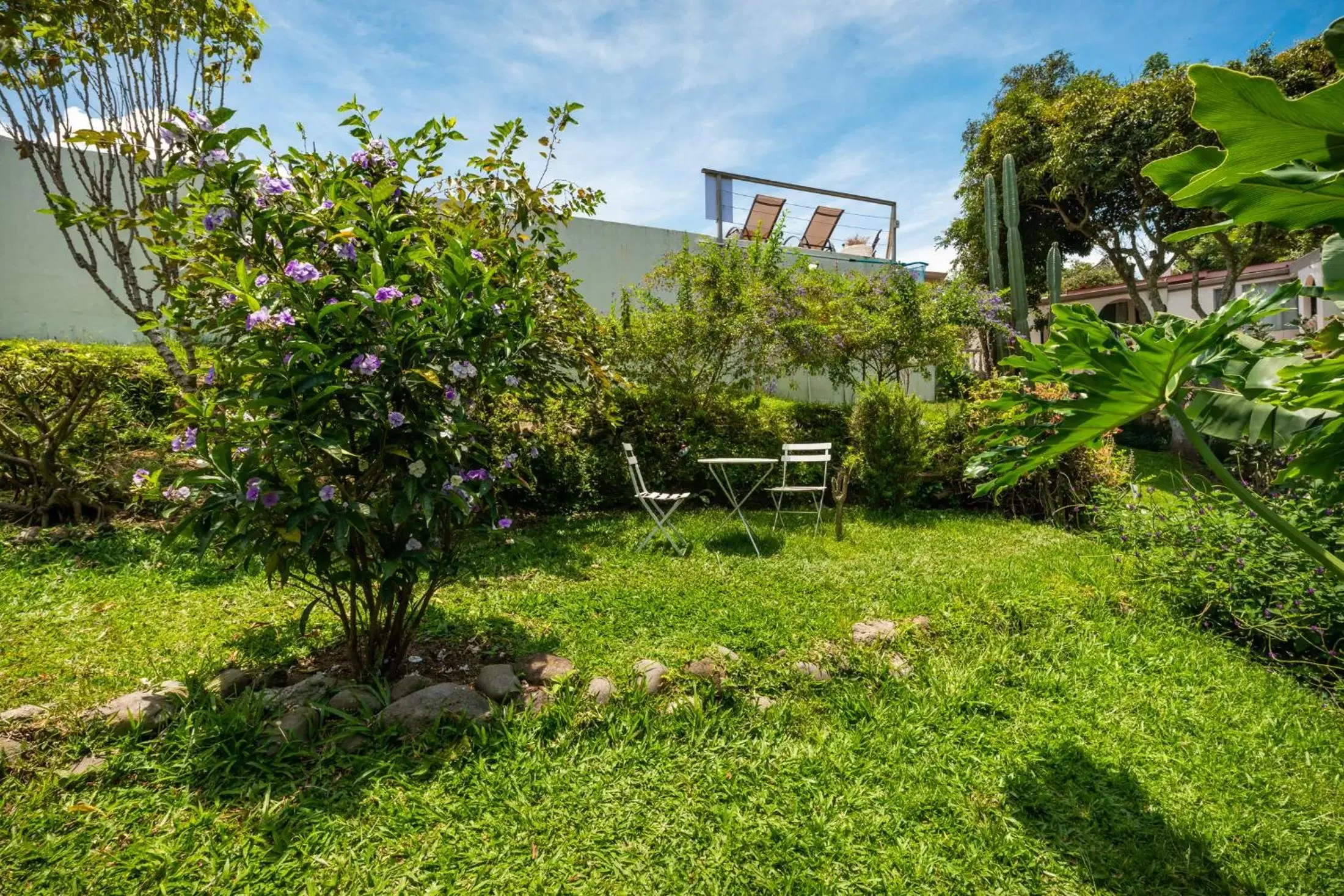 Garden in Posada el Quijote