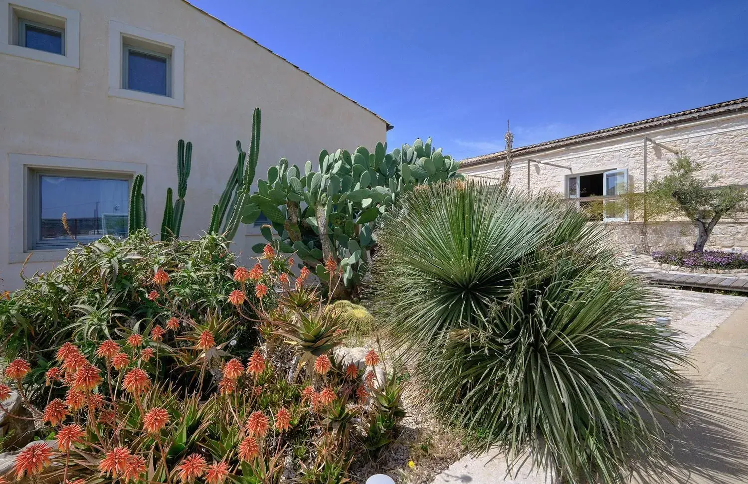 Garden, Property Building in Petrantica Resort