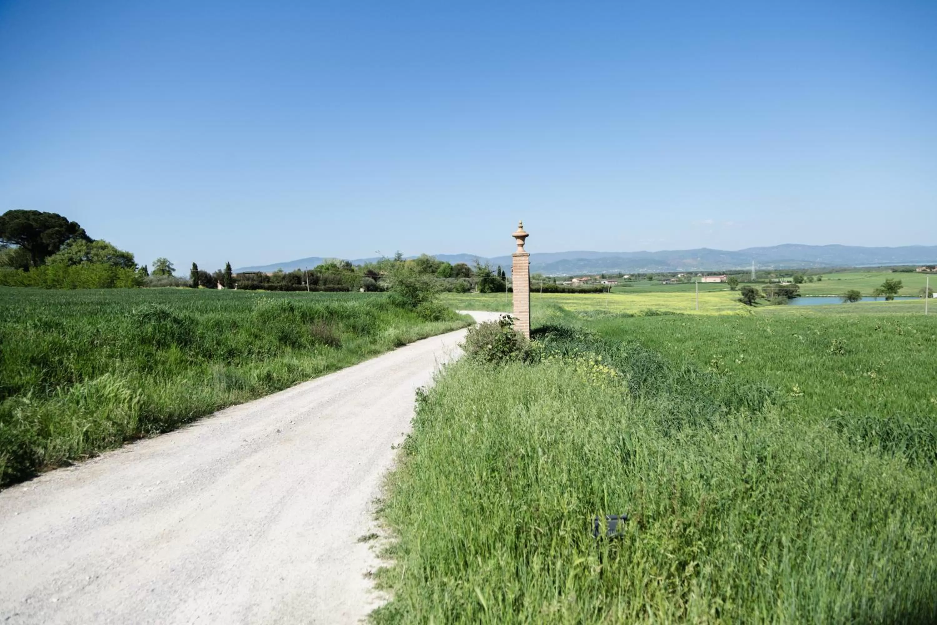 Natural landscape in Podere San Giuseppe
