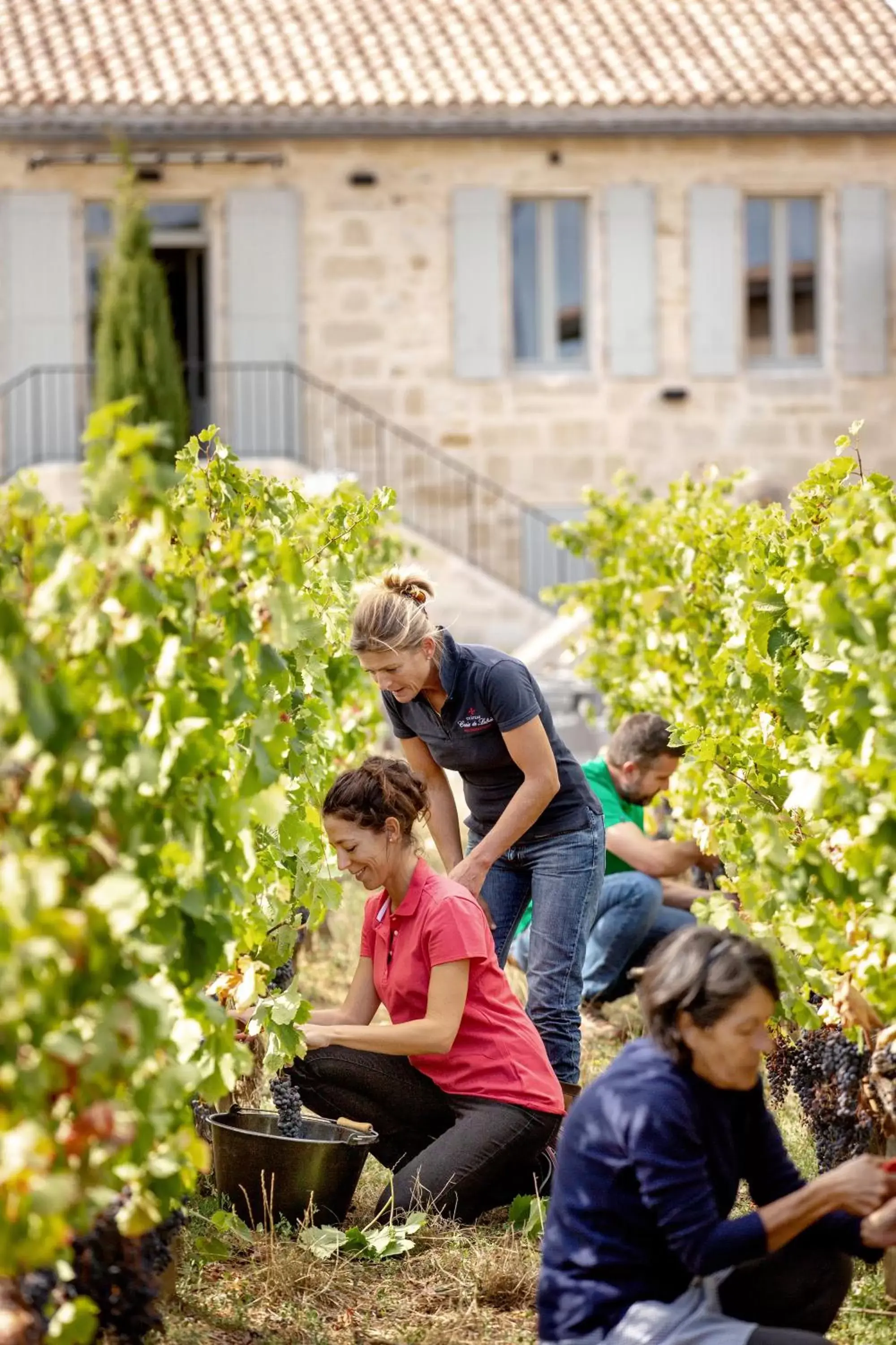 Family in CHATEAU CROIX DE LABRIE