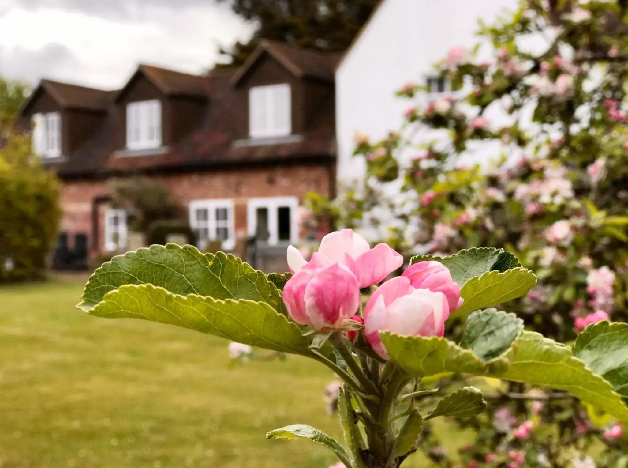 Property building, Garden in Hanger Down House Bed and Breakfast