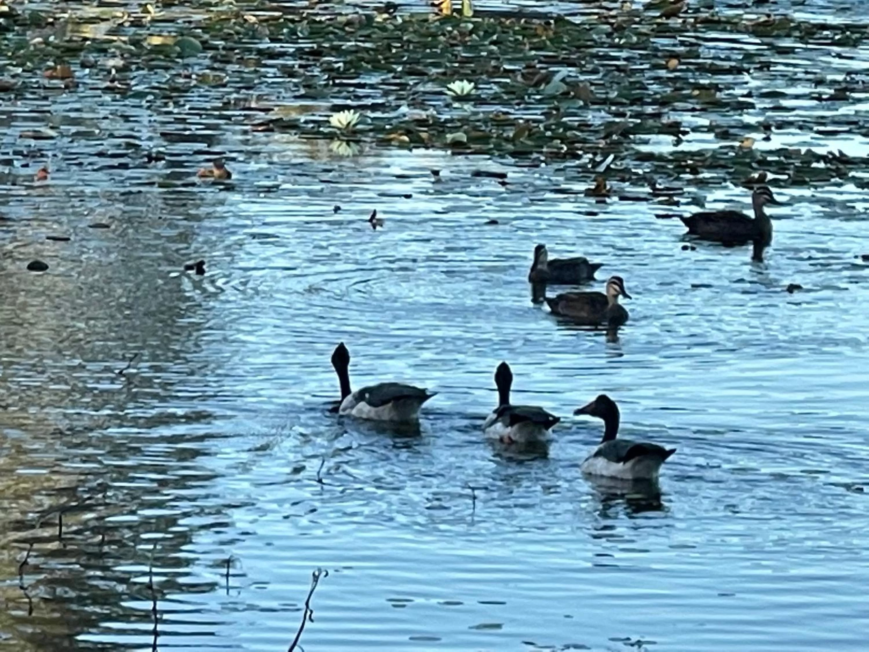 Torquay Terrace Bed & Breakfast