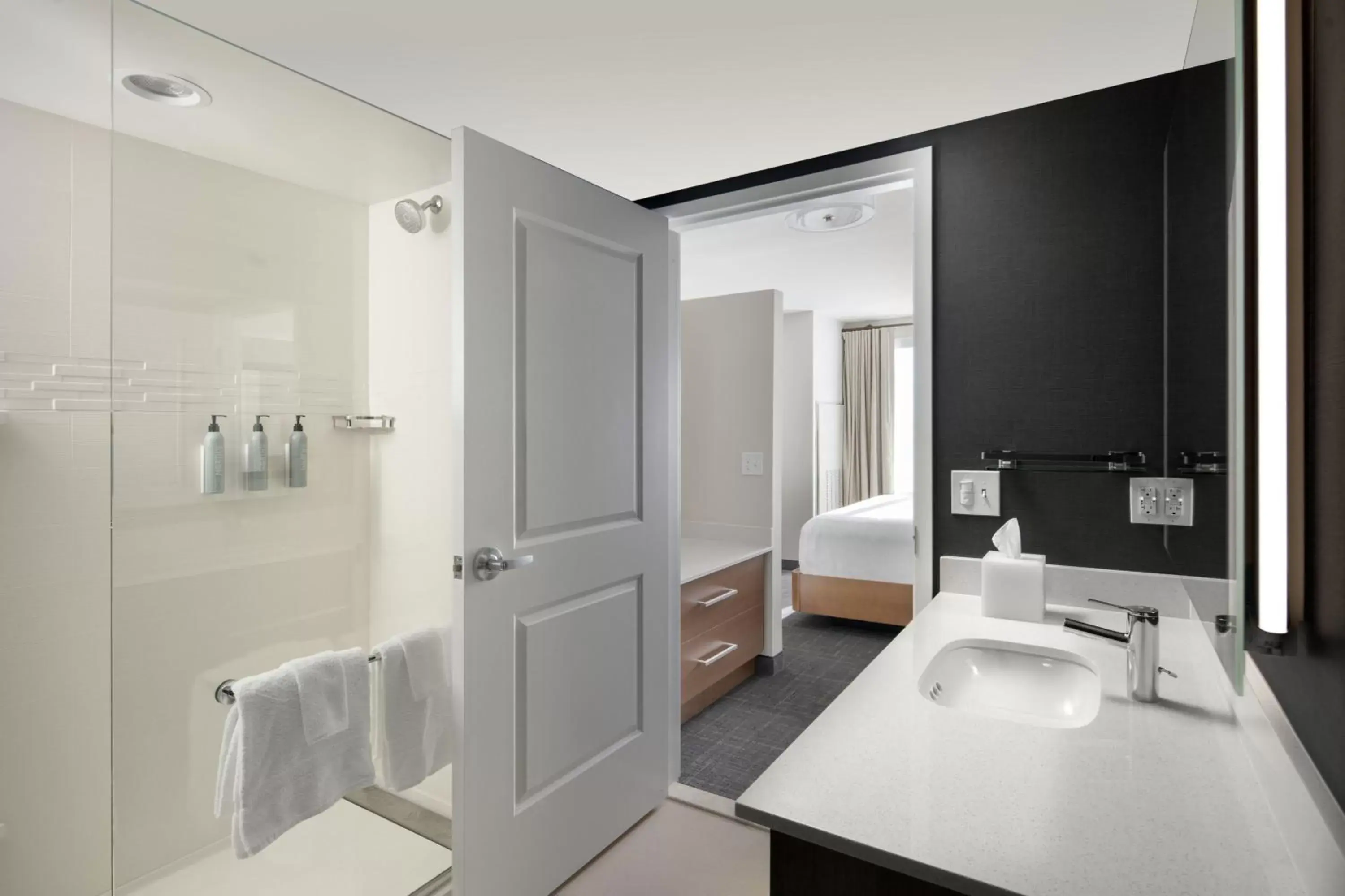 Bathroom in Residence Inn by Marriott Tampa Wesley Chapel