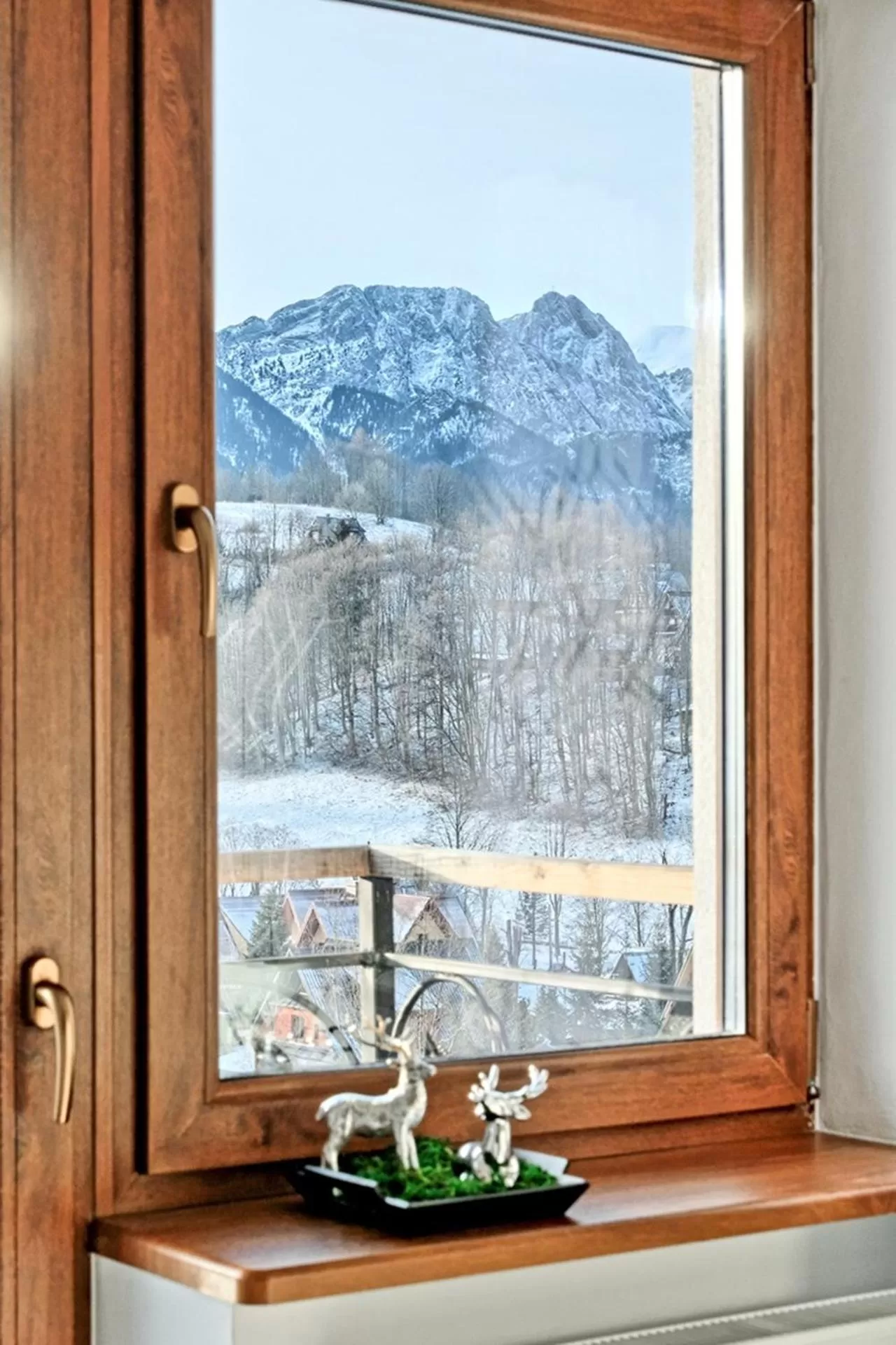 View (from property/room) in Apartamenty Maciejka Odkryj Zakopane