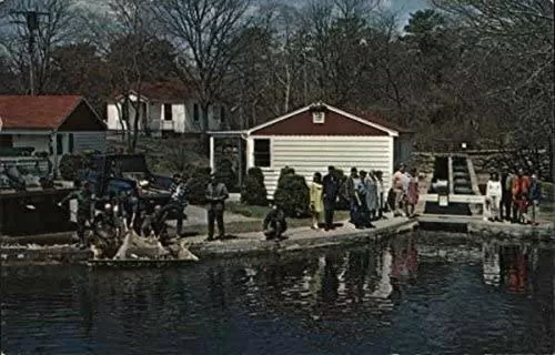 Fishing in Herring Run Motel and Tiny Cabins