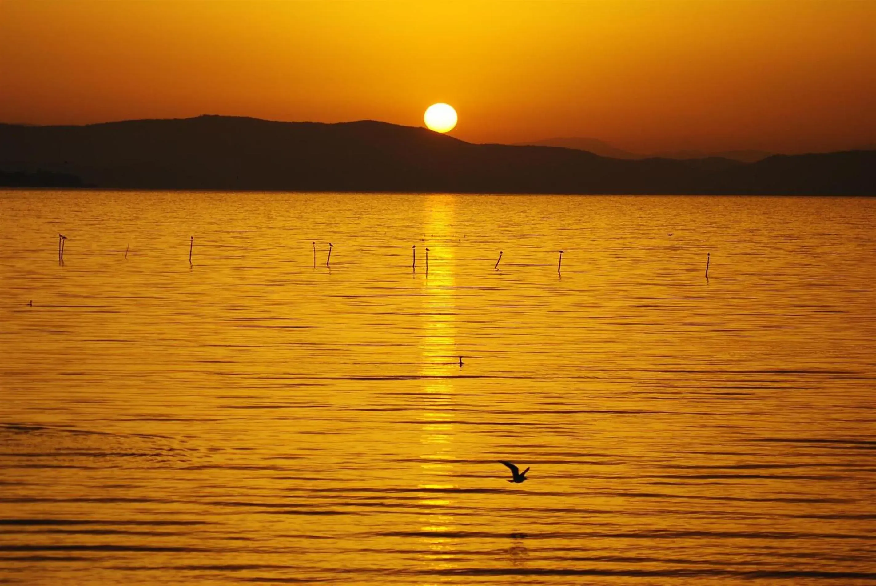 Area and facilities, Sunrise/Sunset in Hotel La Torre