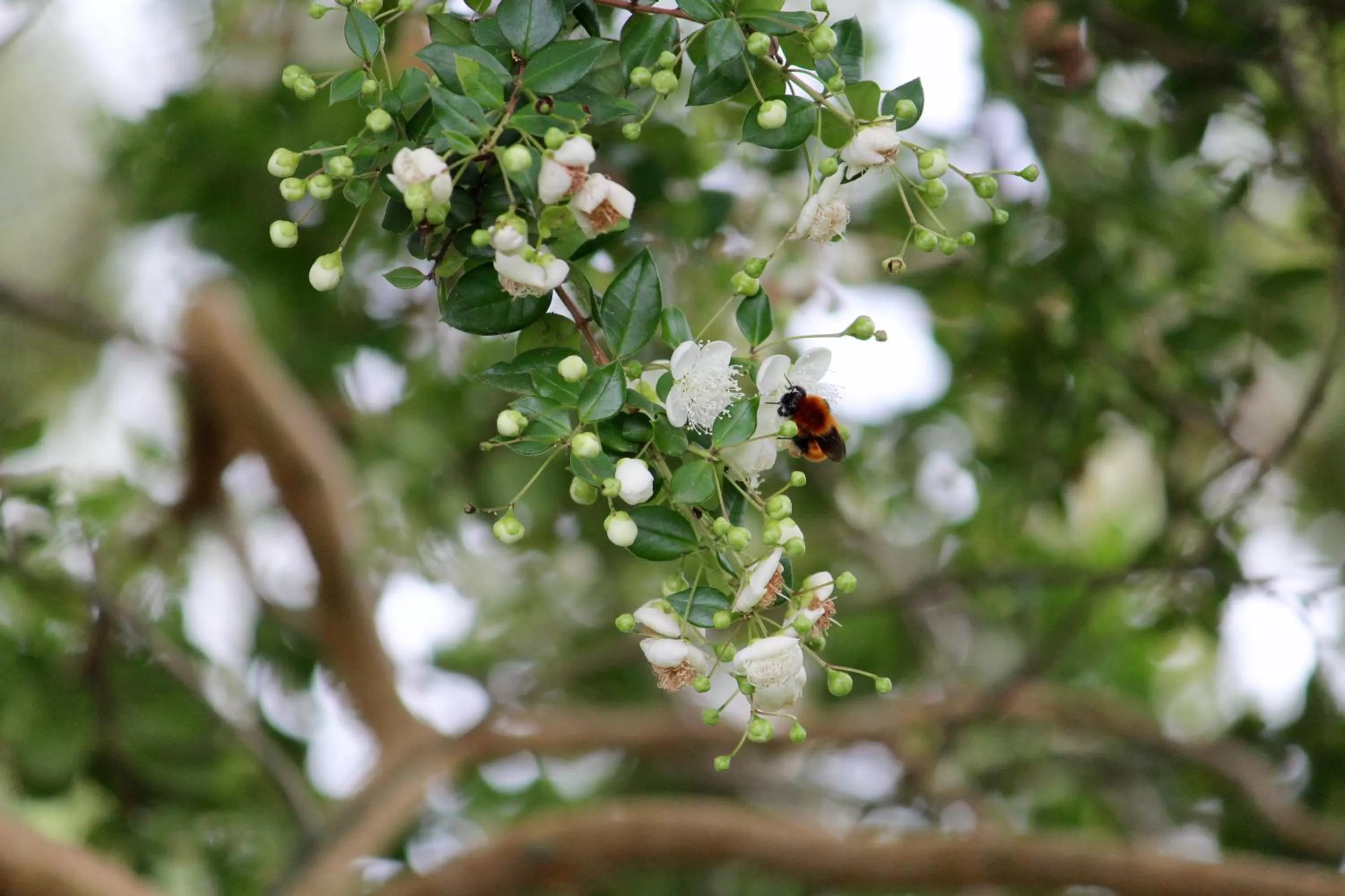 Natural landscape, Other Animals in Hotel Boutique Casa Werner