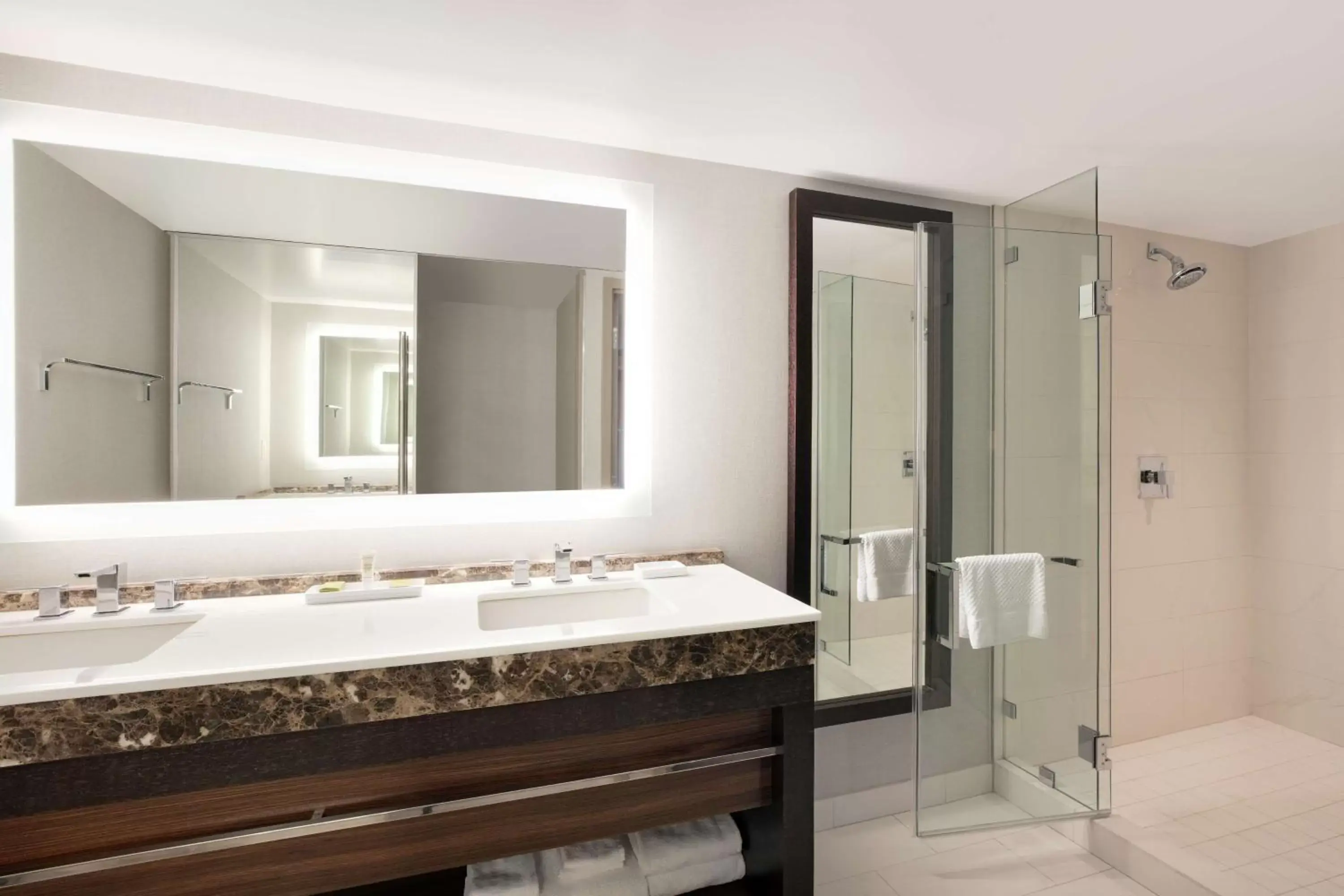 Bathroom in Hilton McLean Tysons Corner