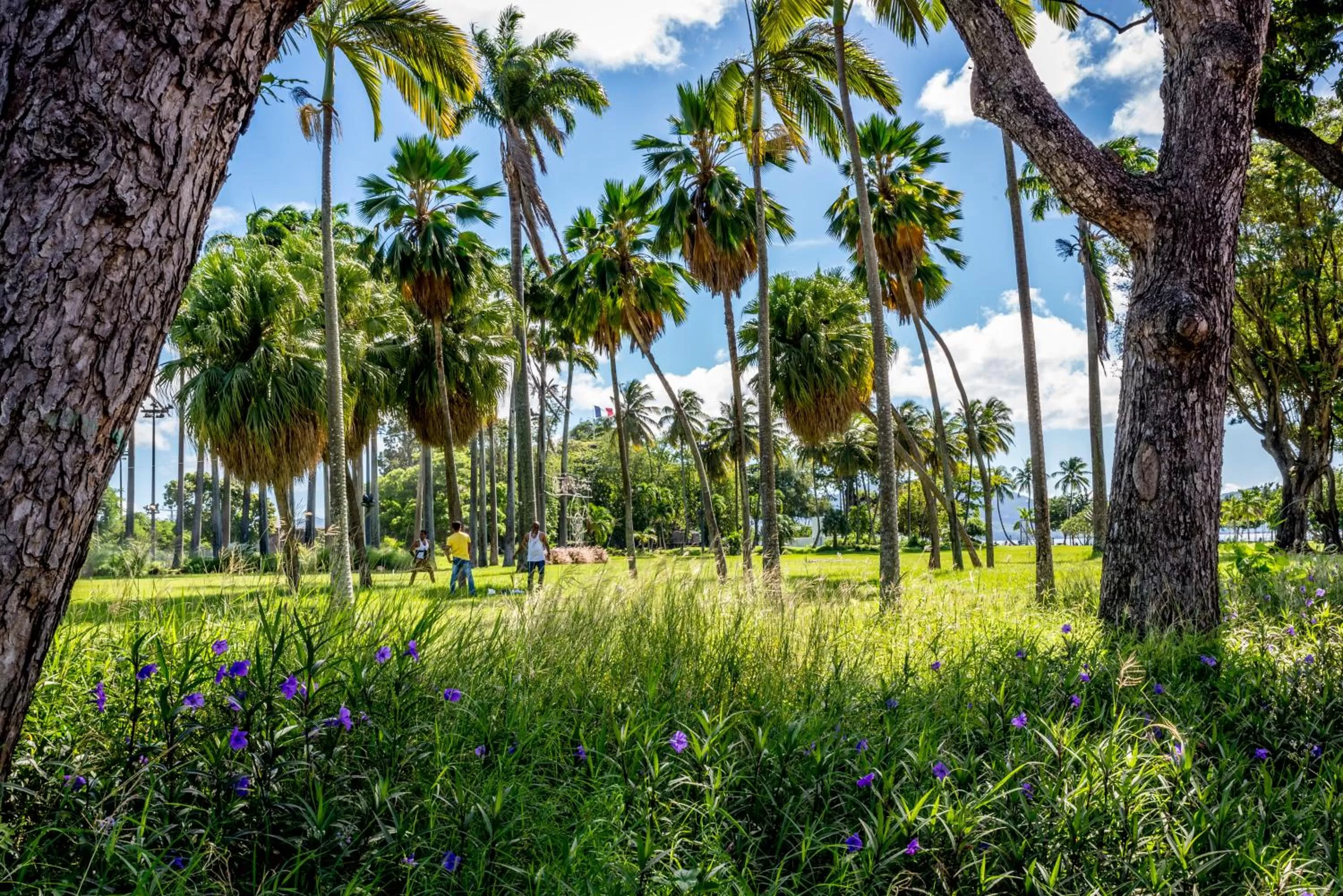 Nearby landmark in Residence Fort Savane