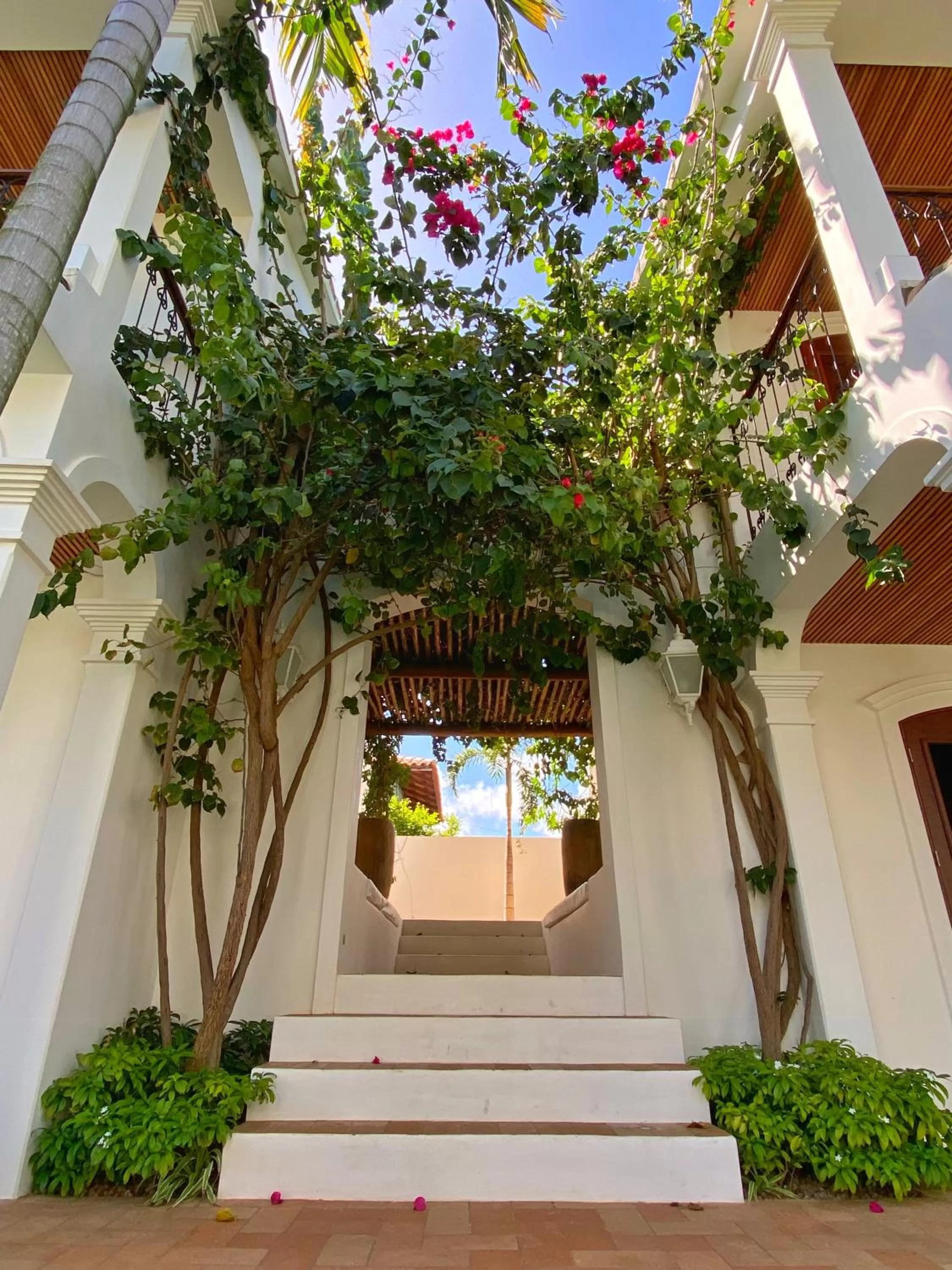 Garden in Villa Canziani & Donato