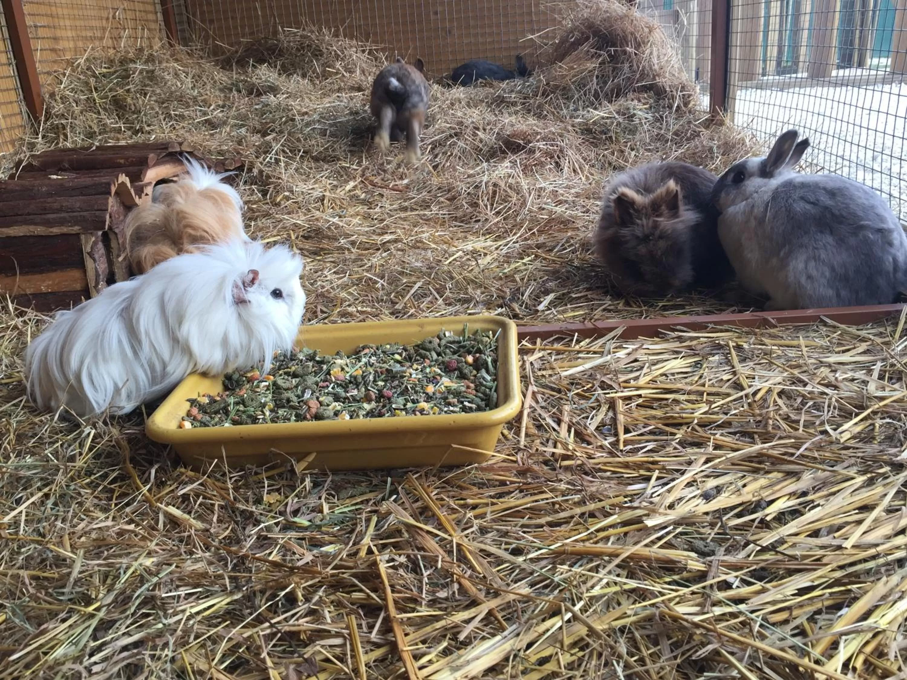 Activities in Campanile Val de France