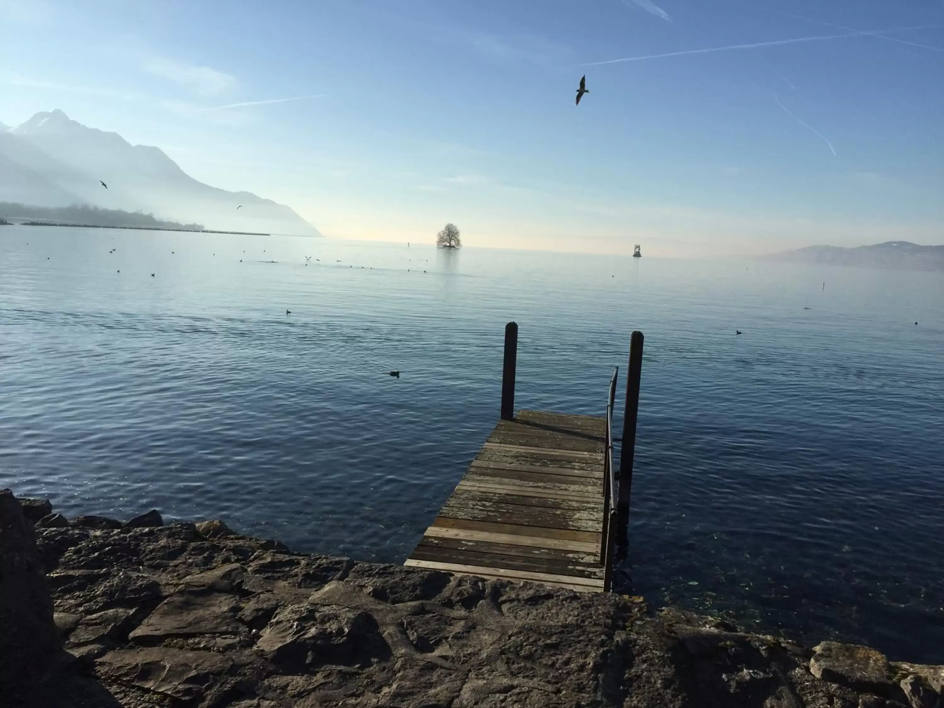 Natural landscape in Magie Du Léman