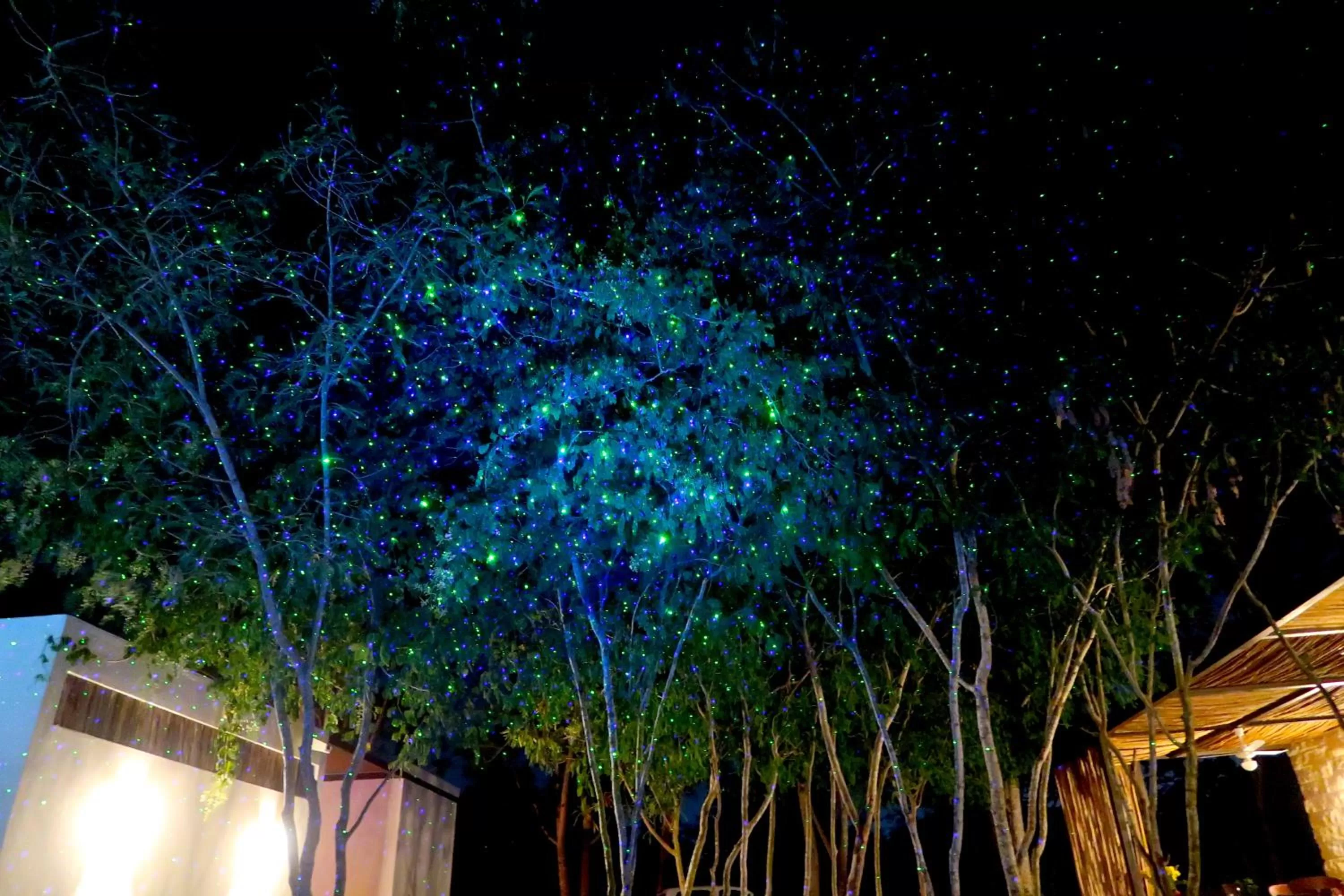 Garden in Hotel Casa de Campo Conkal Merida