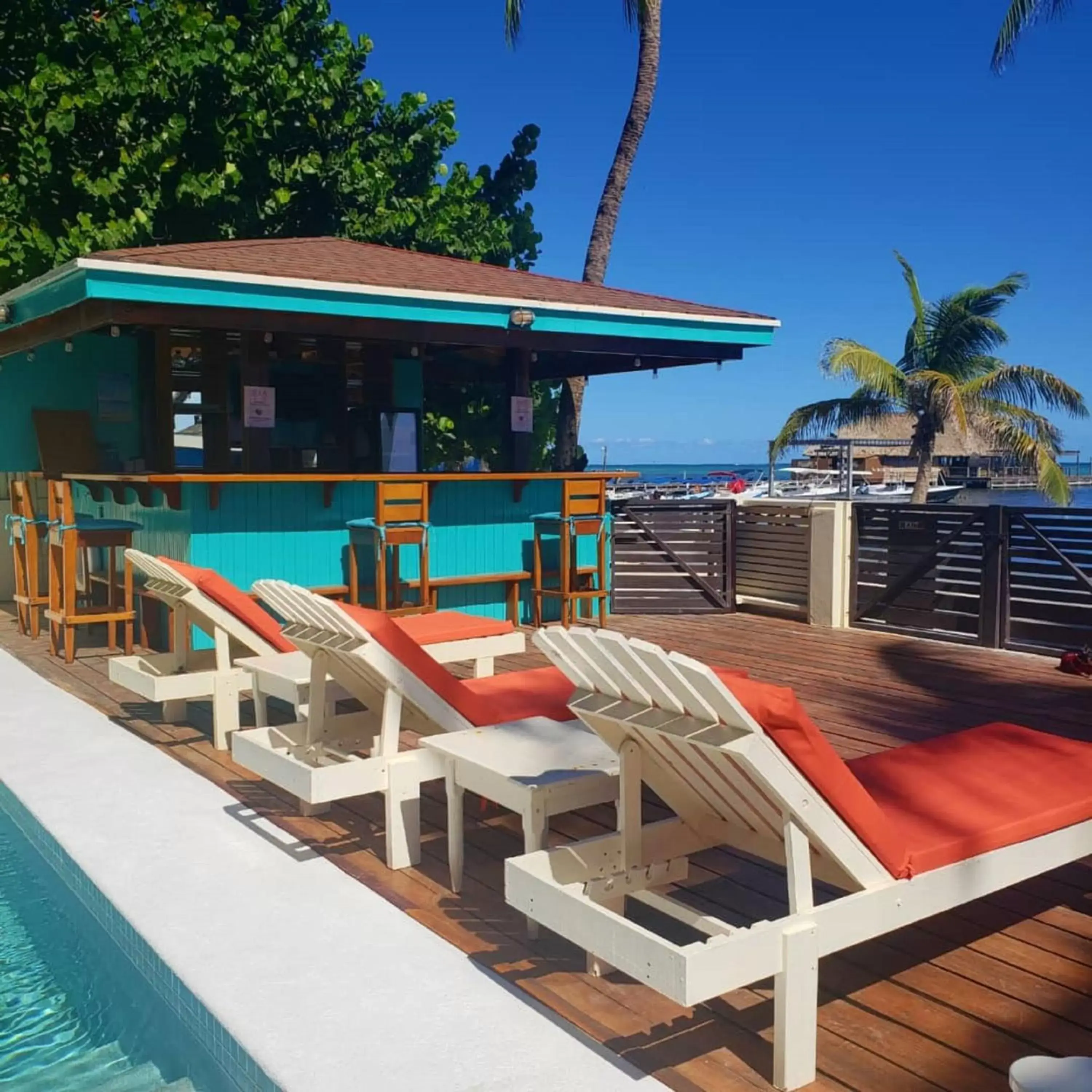 Lounge or bar, Swimming Pool in Ocean Tide Beach Resort